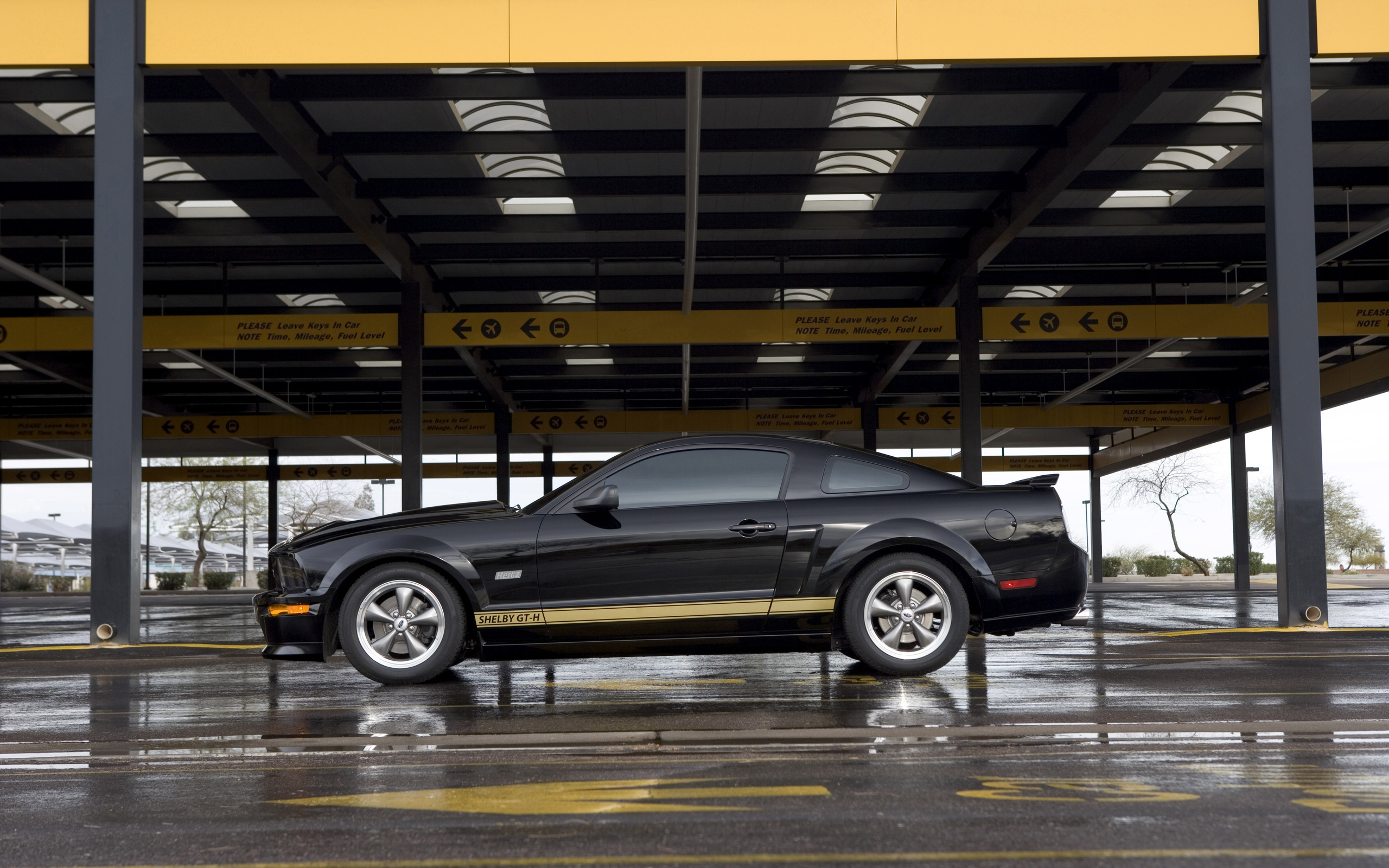 shelby, ford No 26553 Разрешение 2560x1600