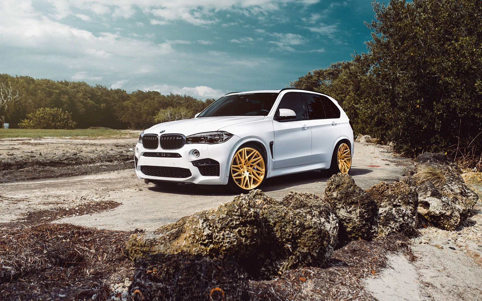 bmw, рацион, частично