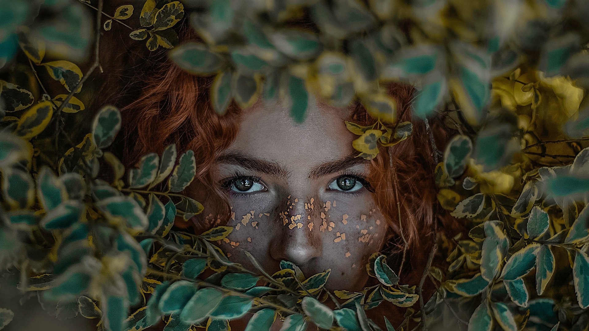 портрет, кусты