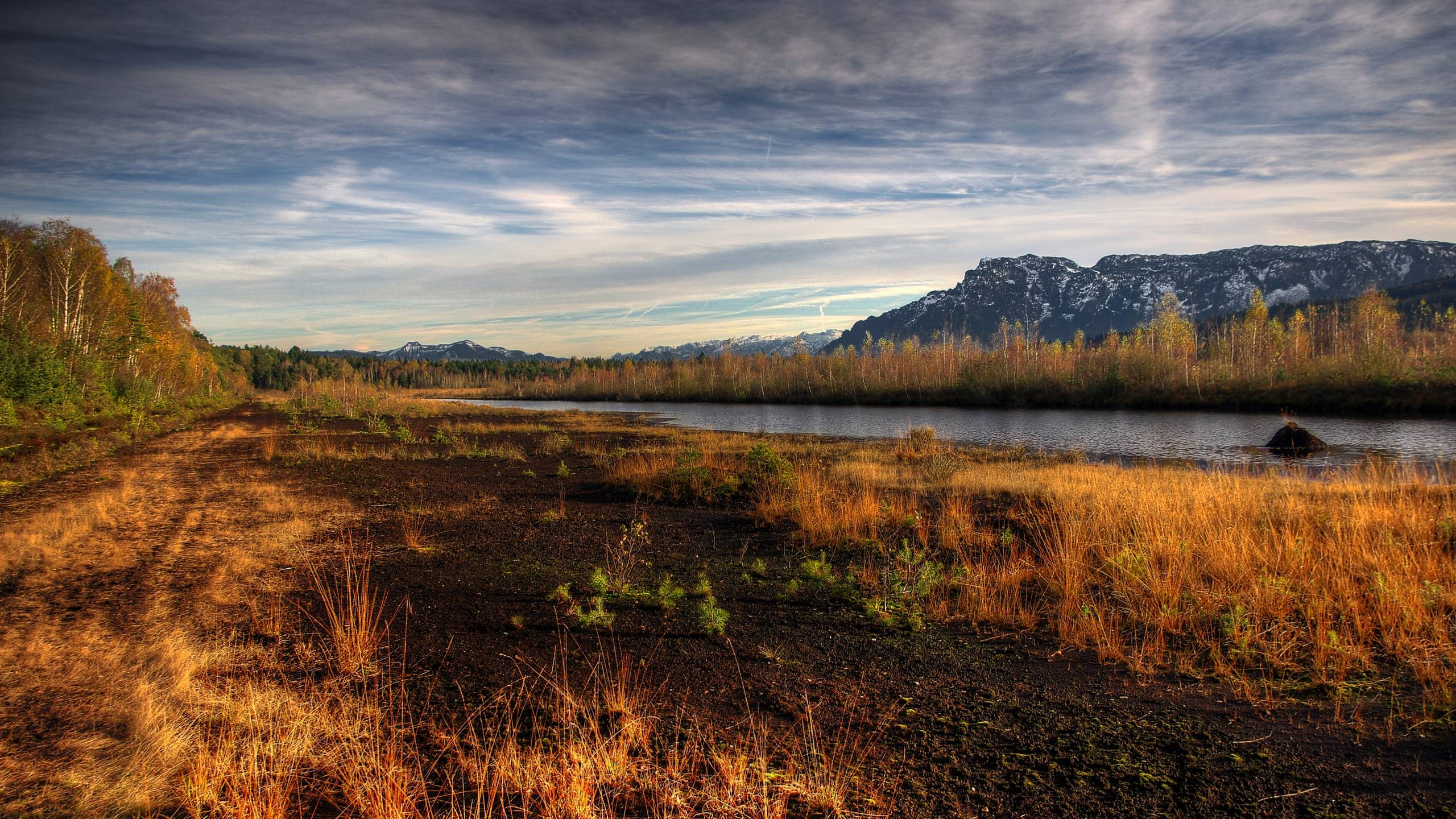 фото, пруд, вектор