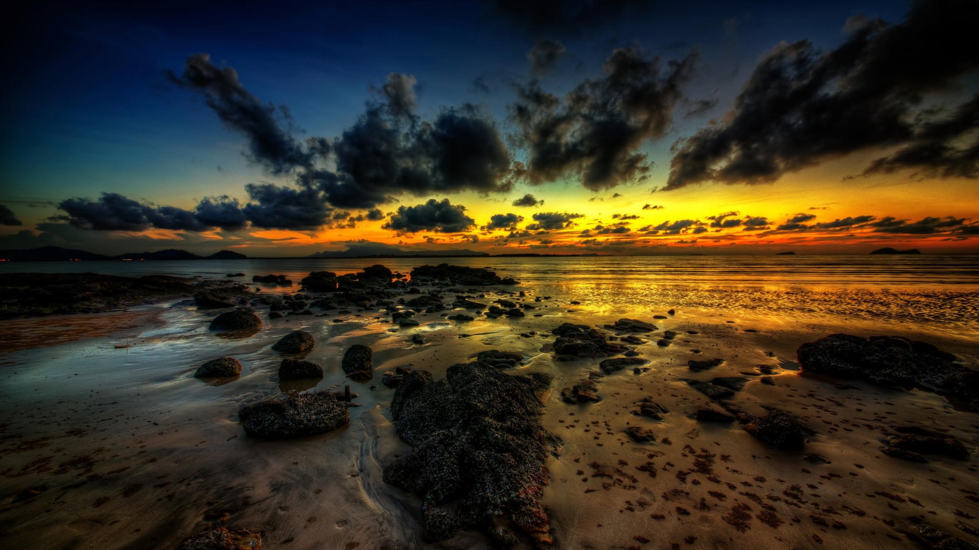 заклич, участник, linux