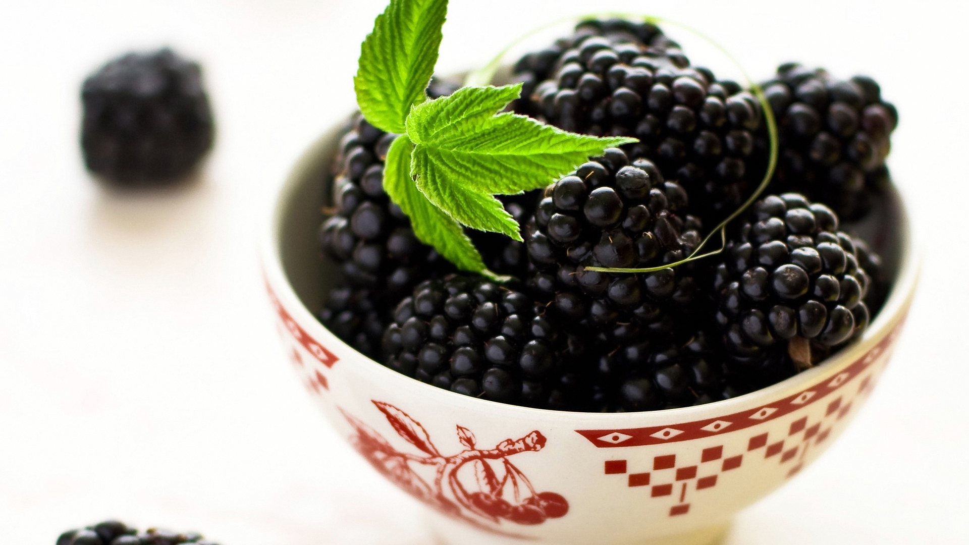blackberry