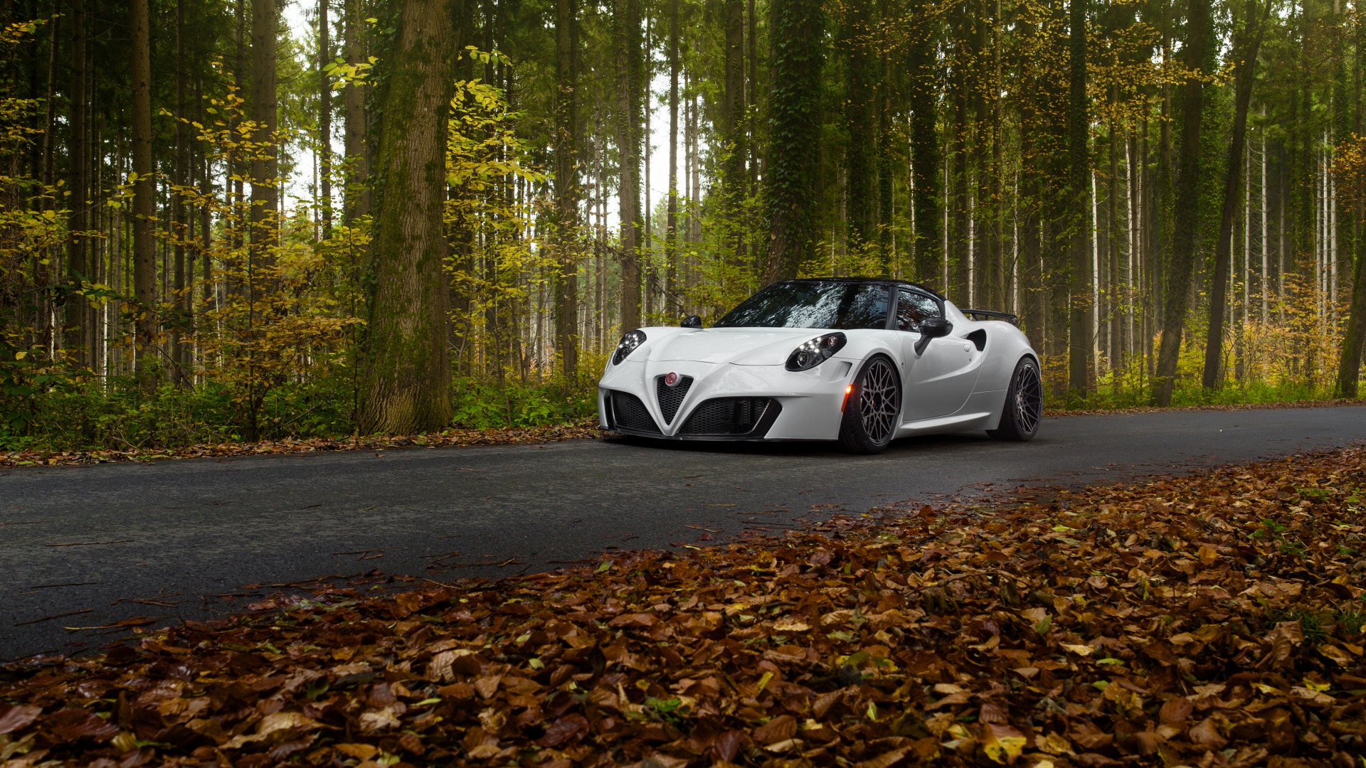 romeo, car, alfa