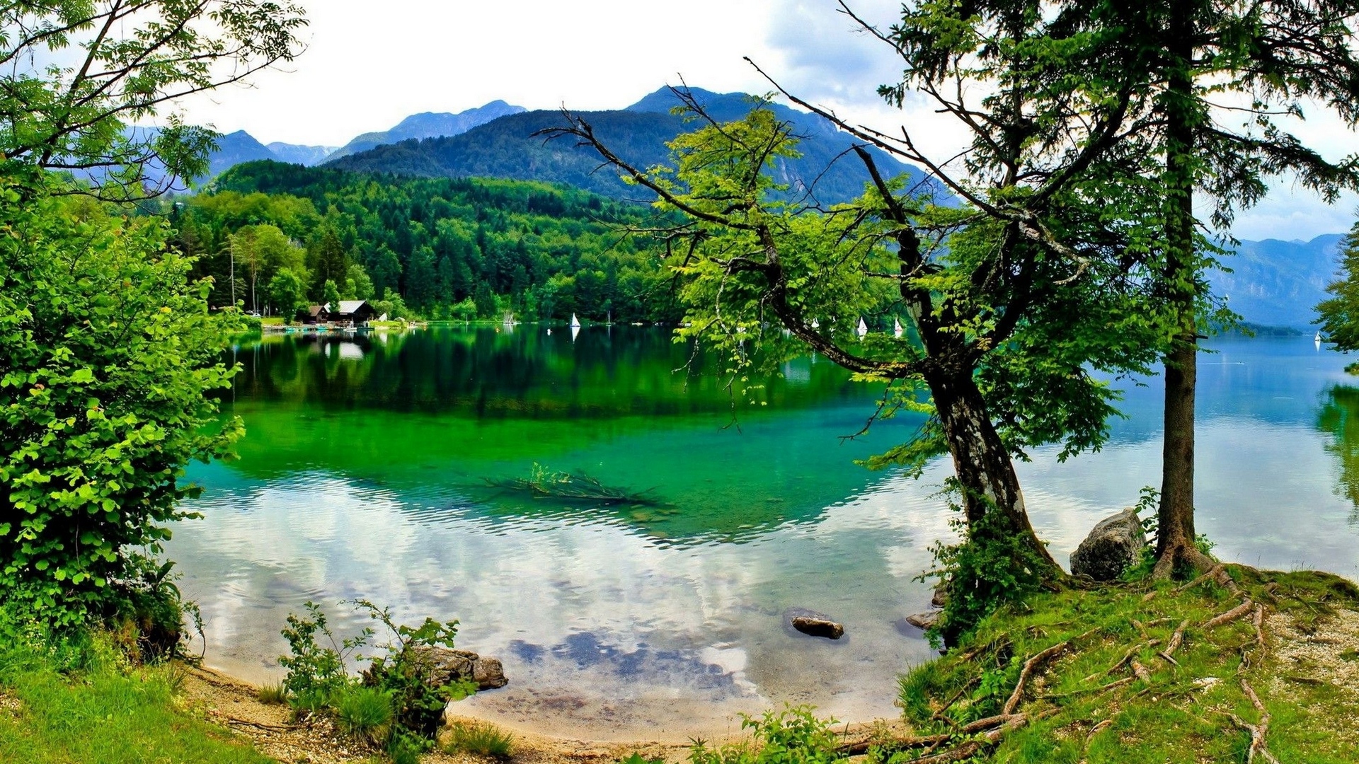 лестница, лесбиянка