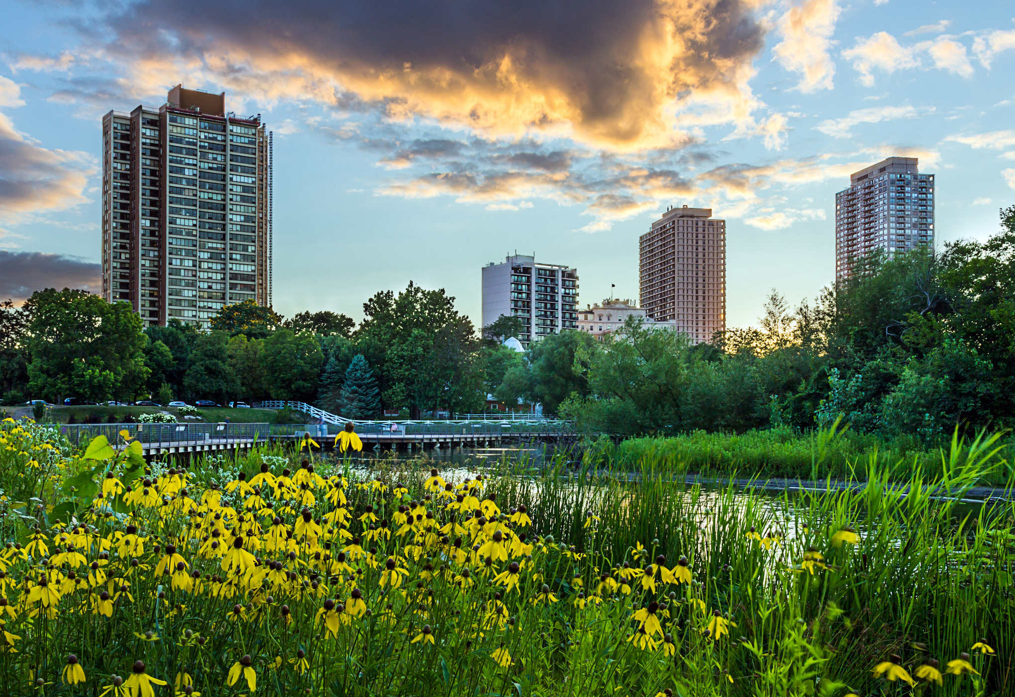 закат, chicago, skyline