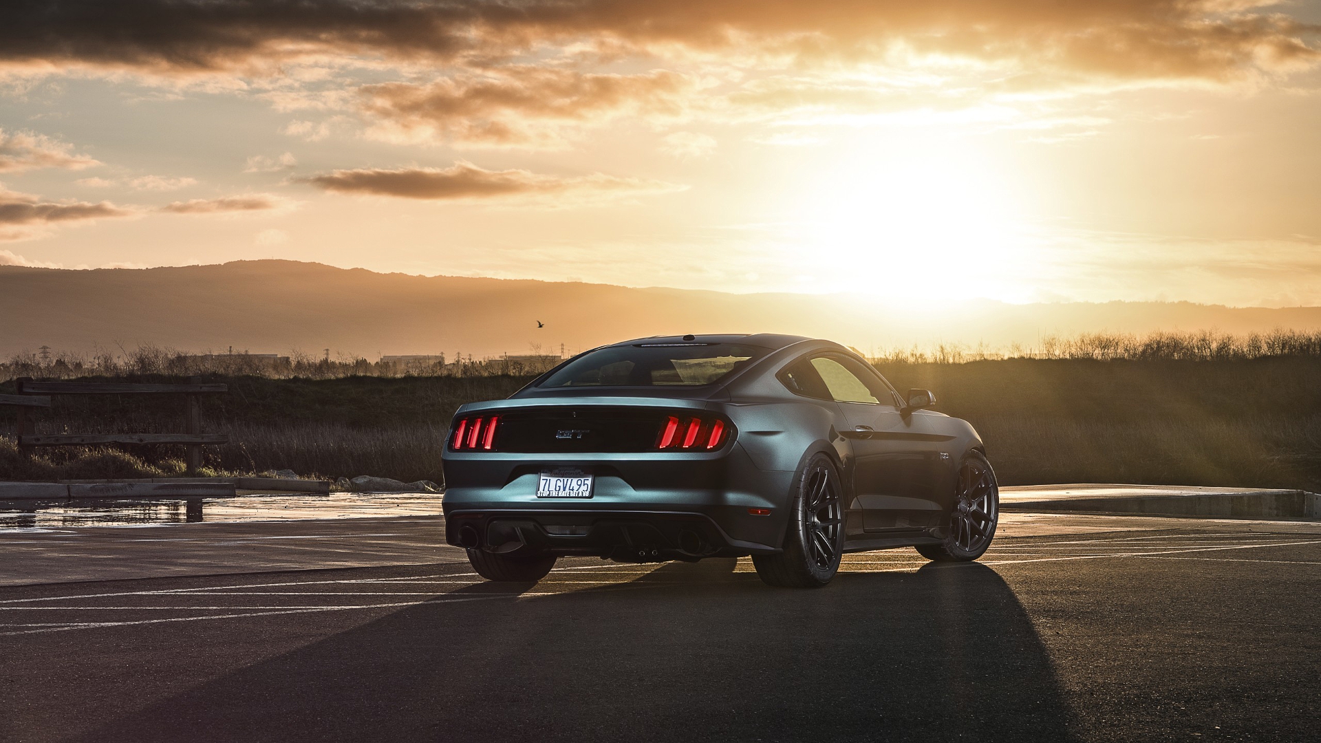 mustang, ford, car