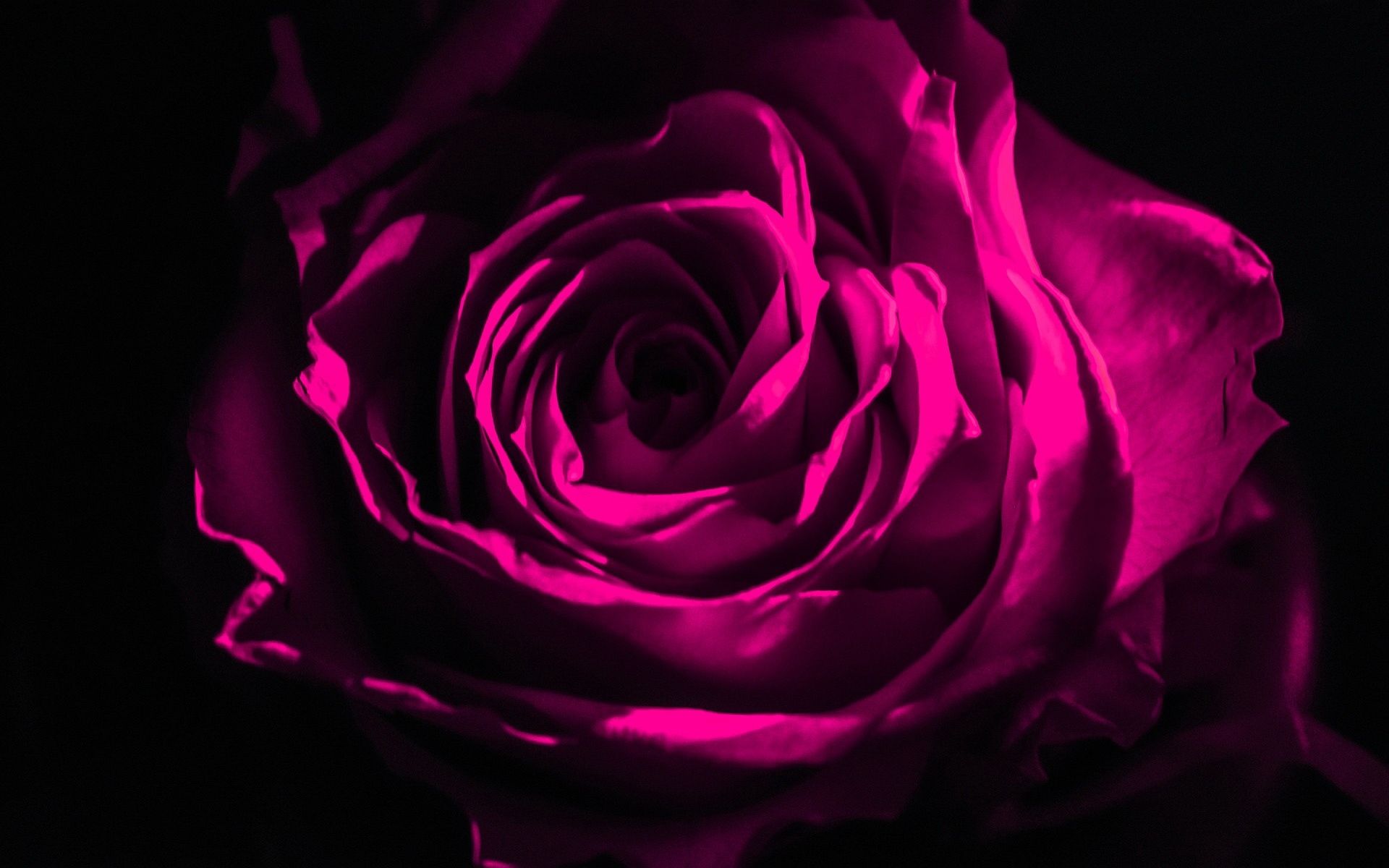 shayari, public, domain