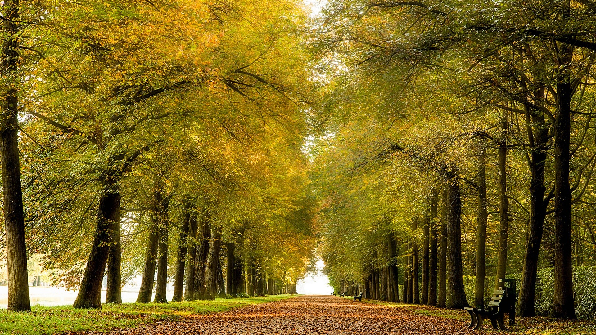 русская, осень