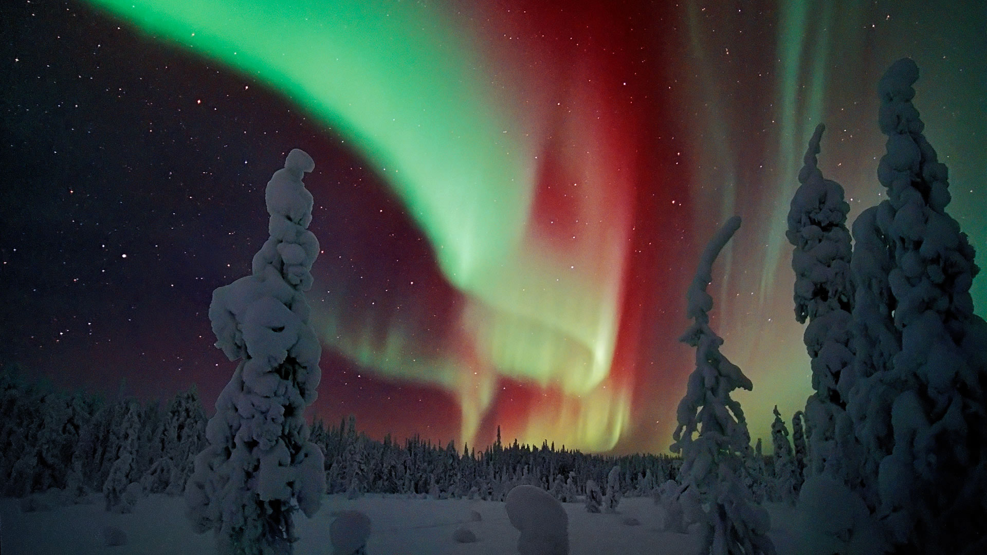 aurora, lapland