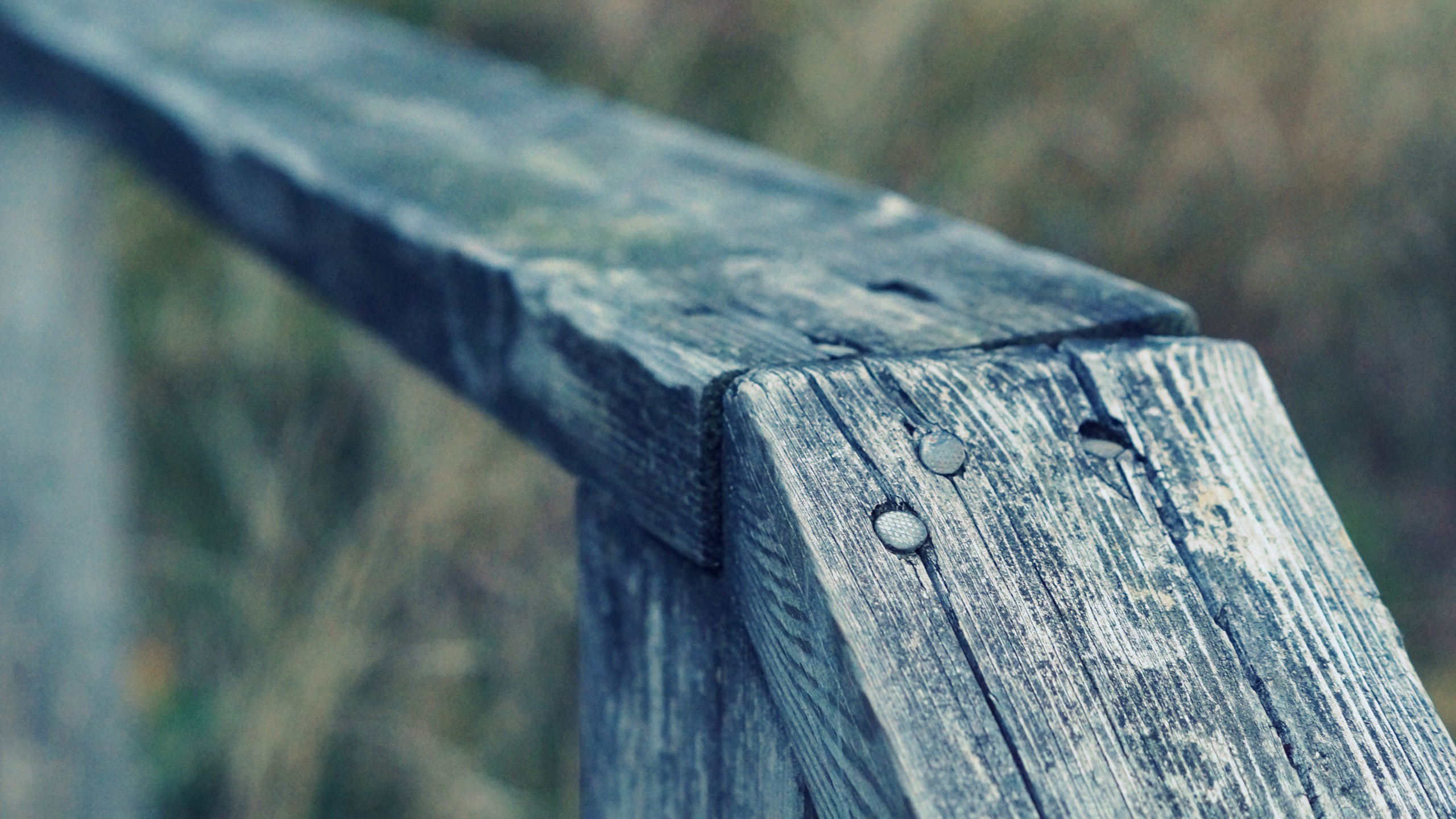 шпалери, компьютер Фон № 169036 разрешение 2560x1440