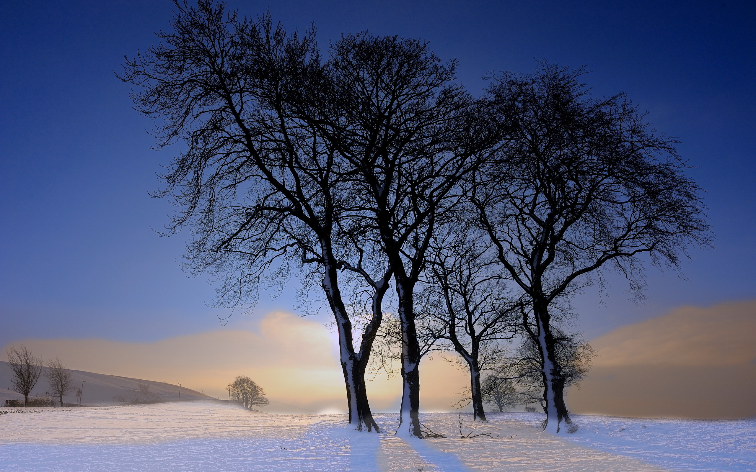 природа зима небо деревья без смс