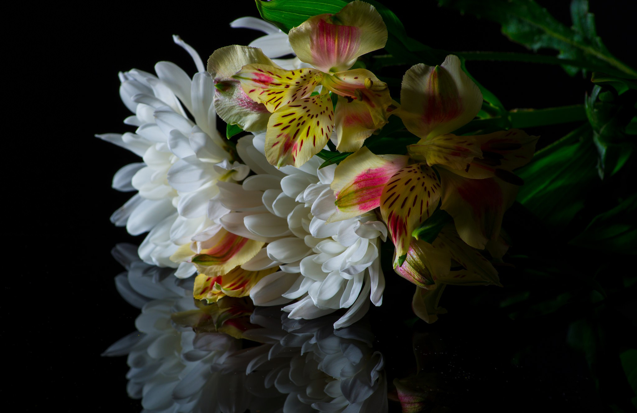 lily
