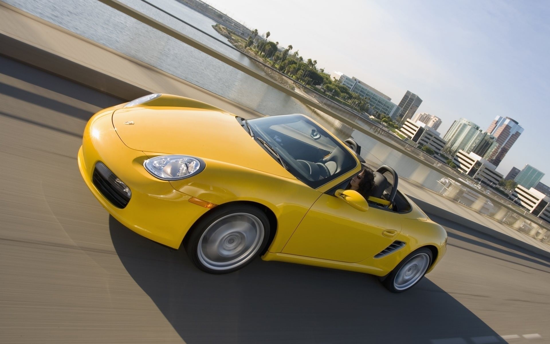 порша, боксер, боксер