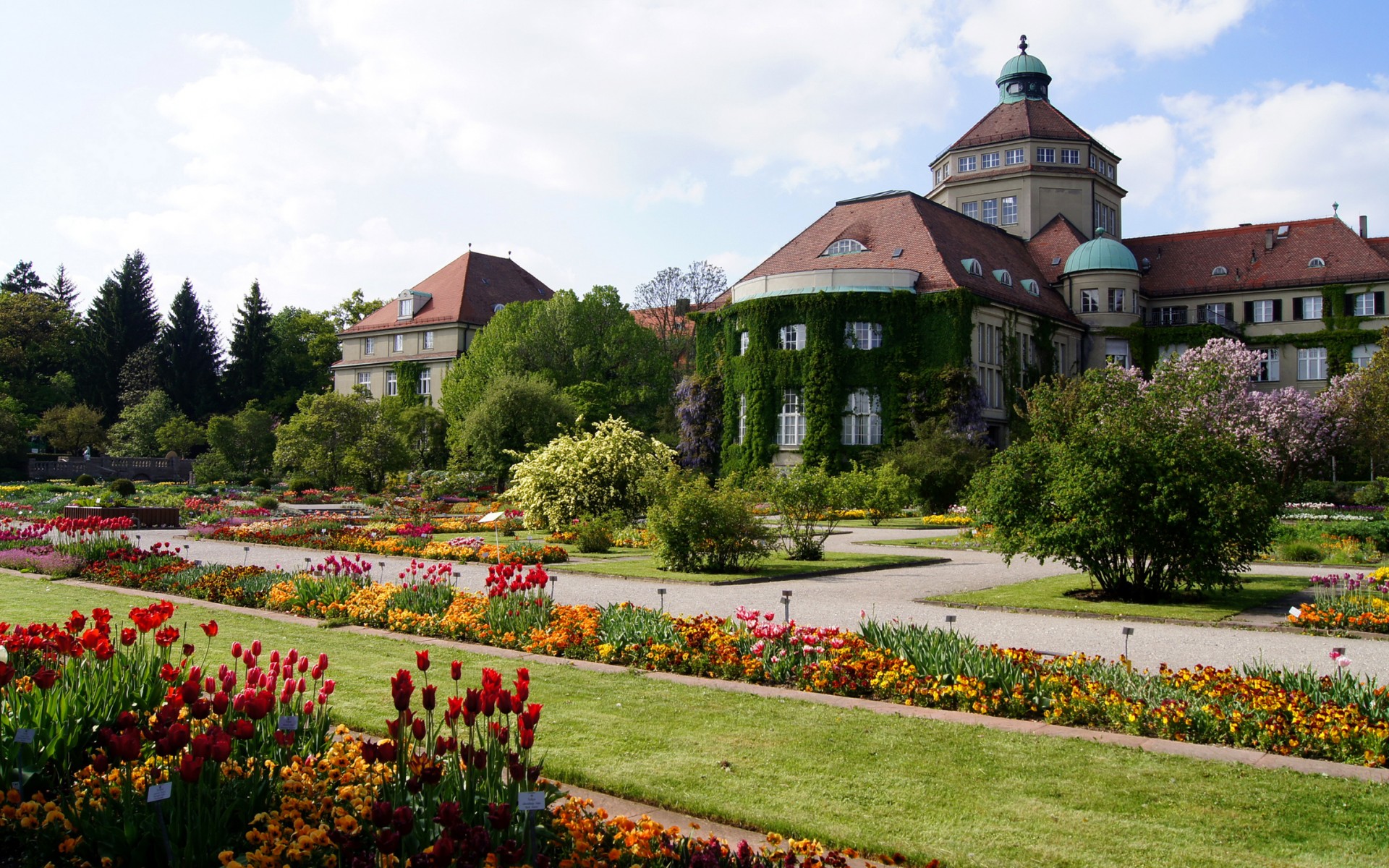 botanical, munich, германия
