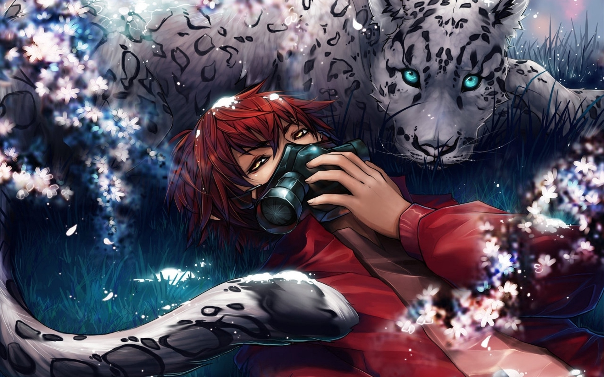 леопард, снег, ирбис