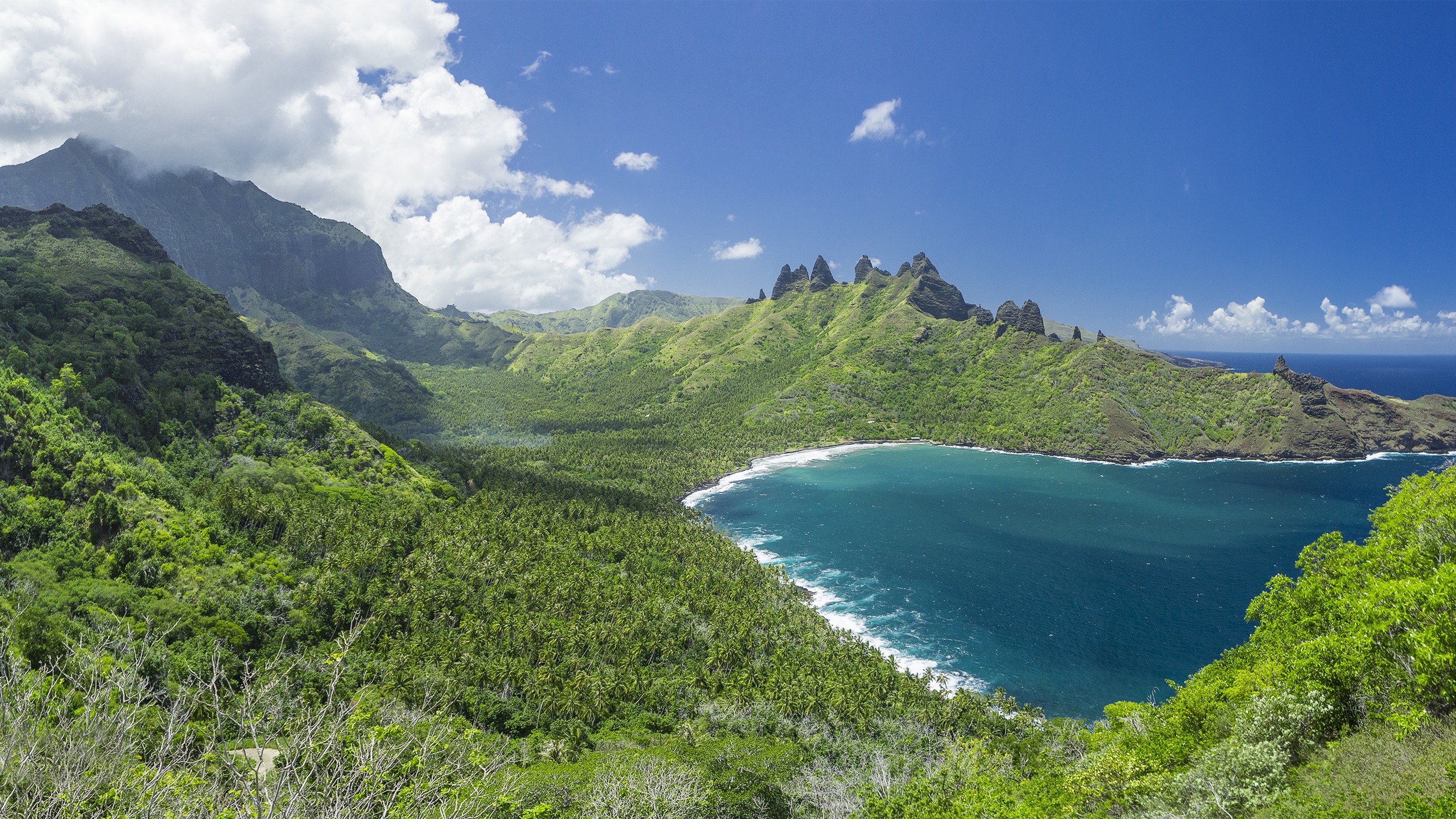 франса, полиния, цитирование