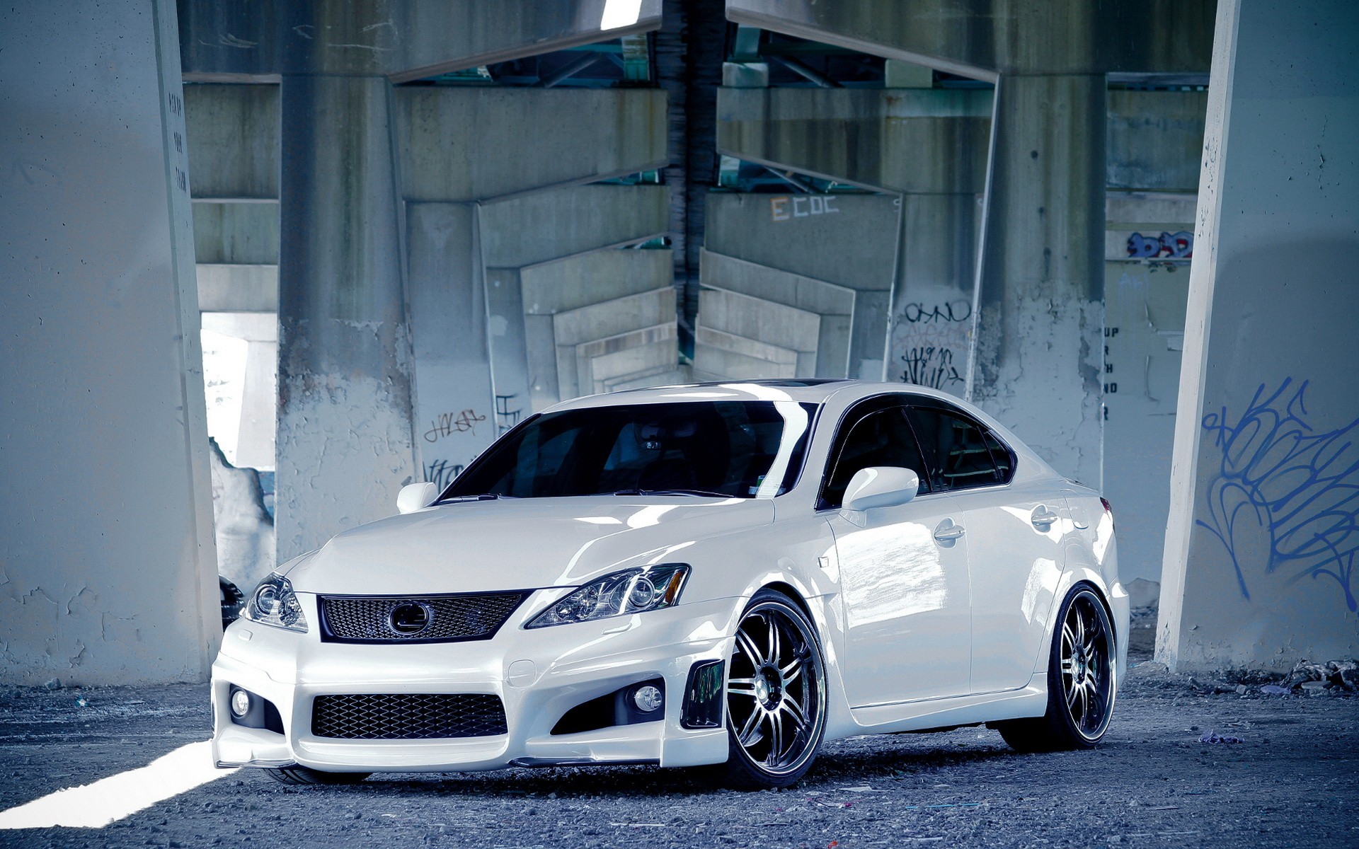 lexus, тюлин, лексус