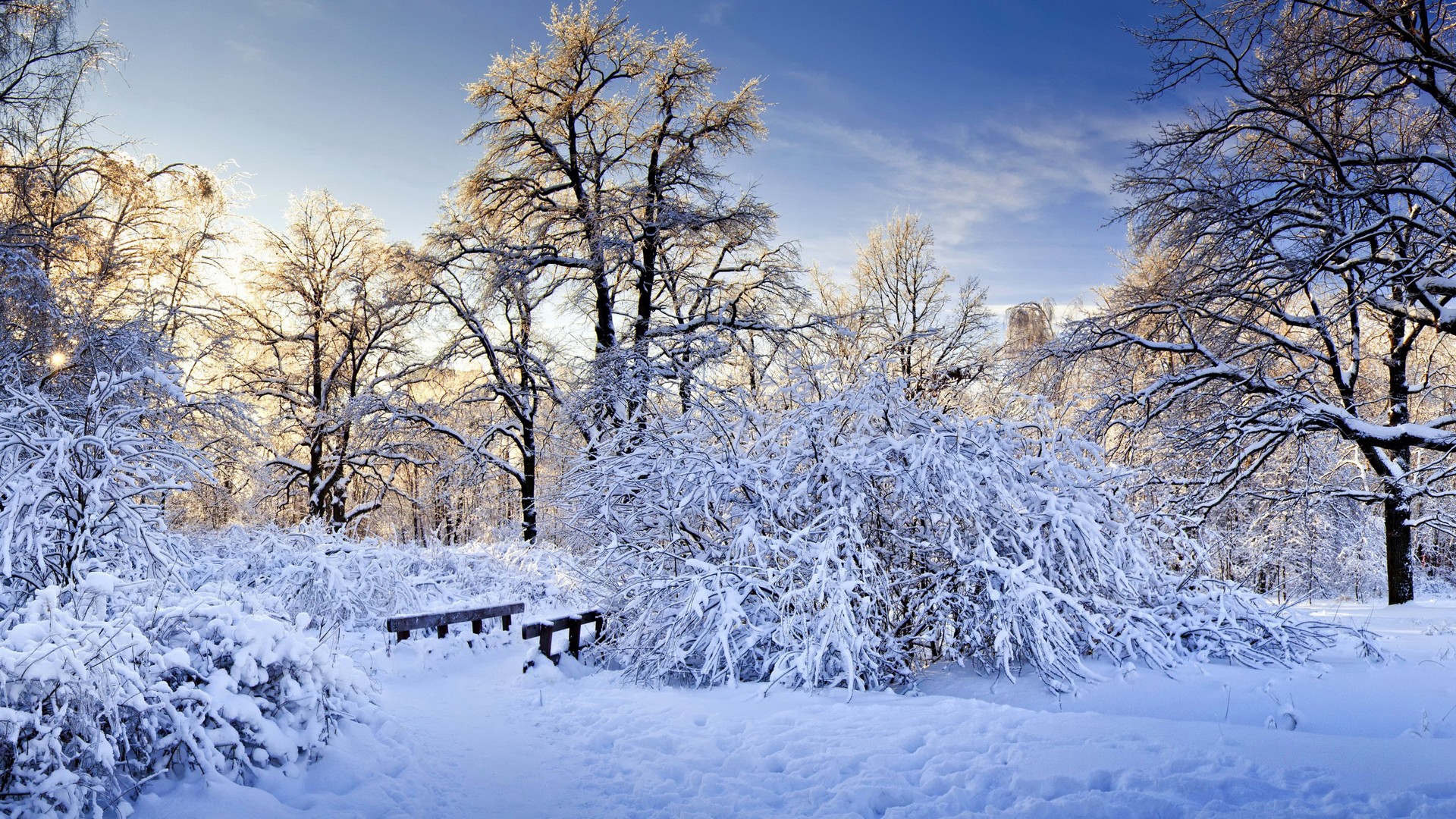 фото, скины, стоковы i