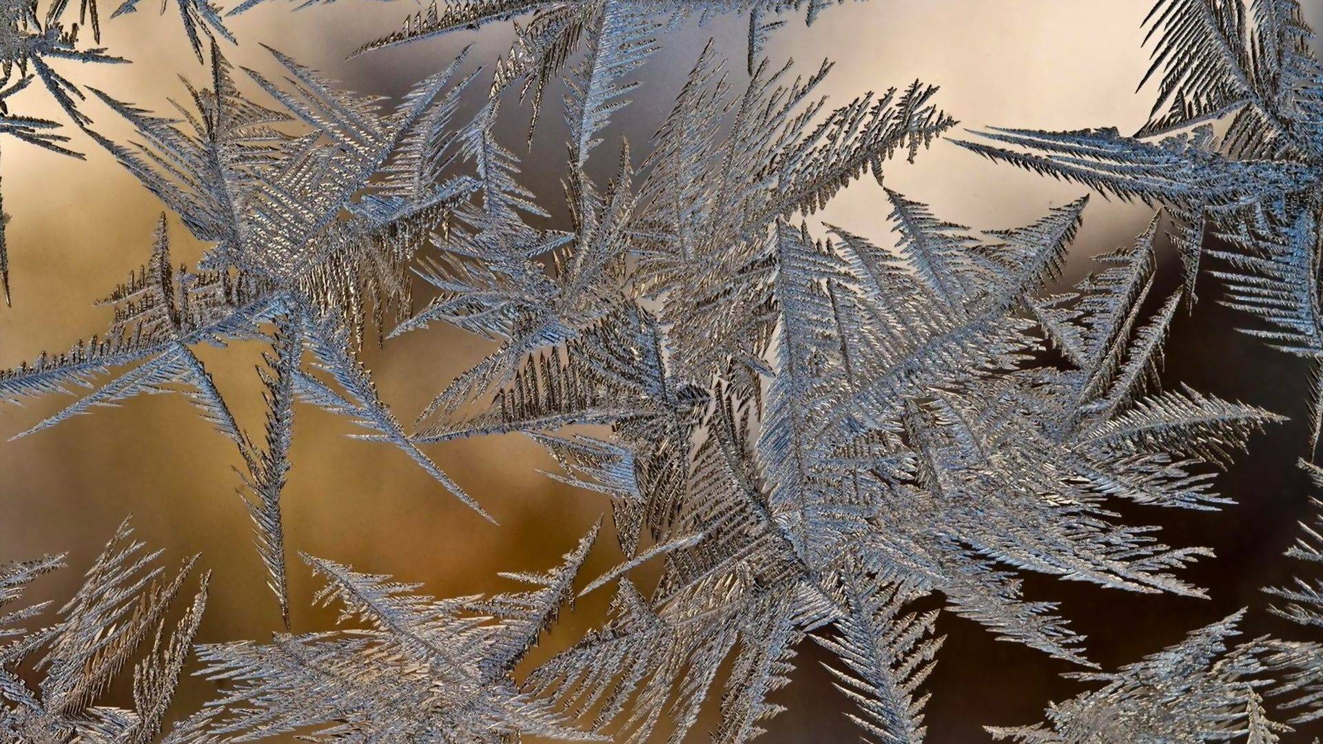 стекло, зима