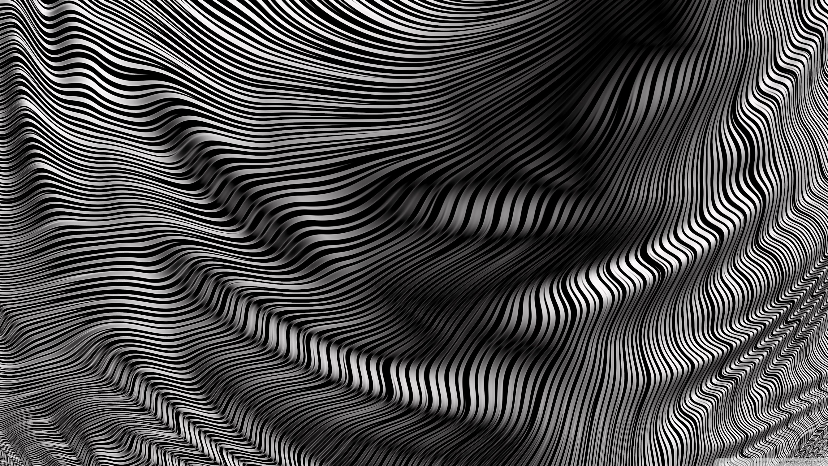 режиссер, картинкин, кана