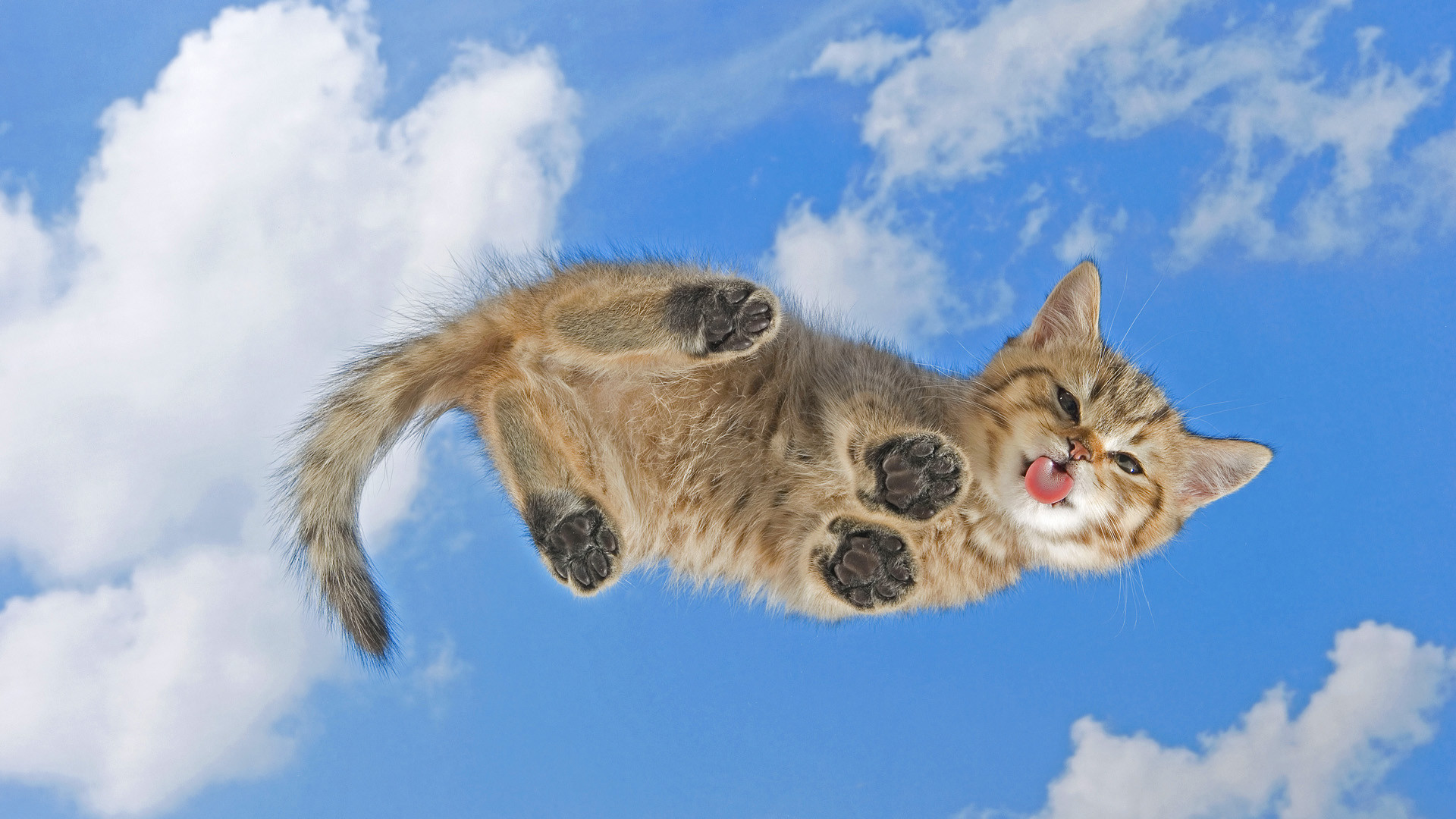 окна