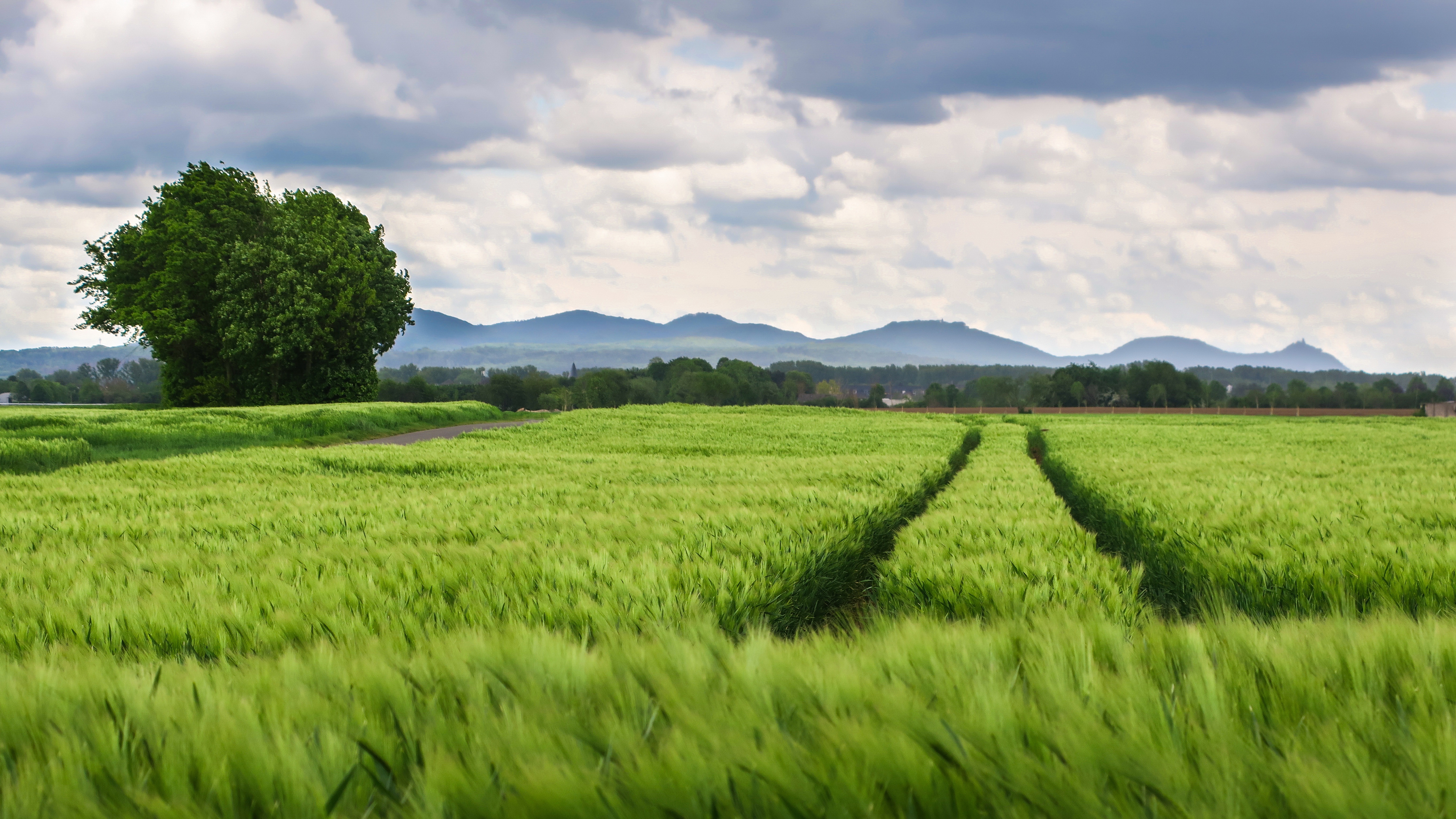 Farm land. Agricultural Landscapes.