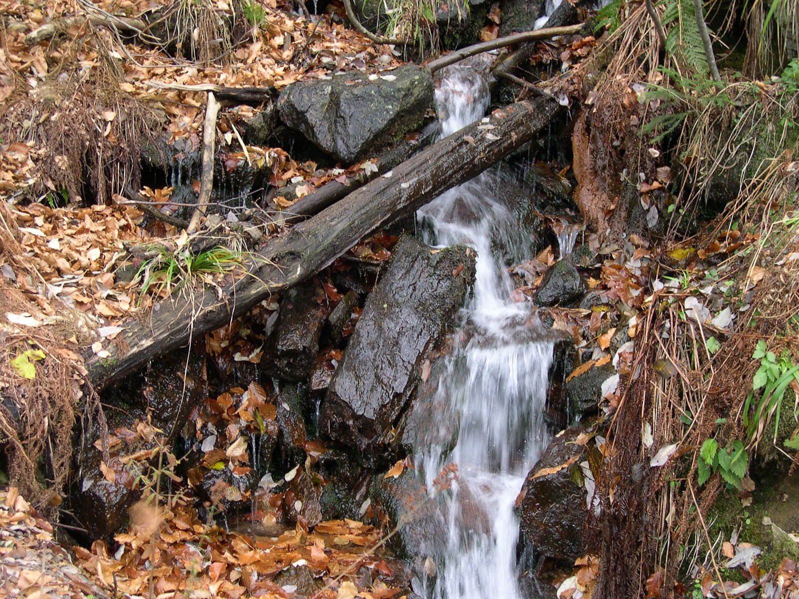 пасть, водопад, фото