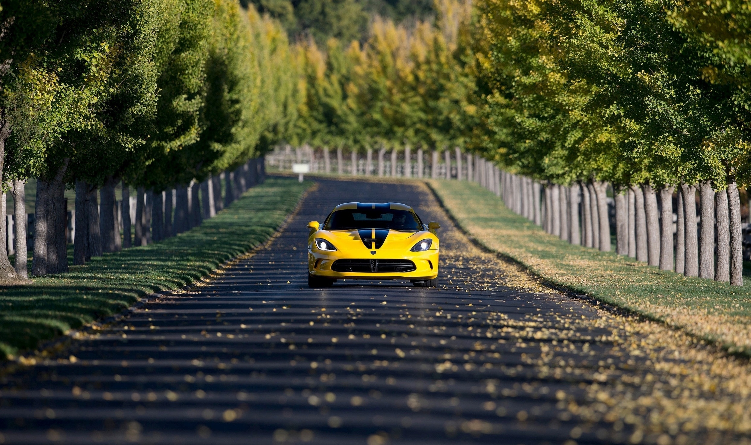 viper, dodge, srt Номер 74763 Разрешение 2488x1476