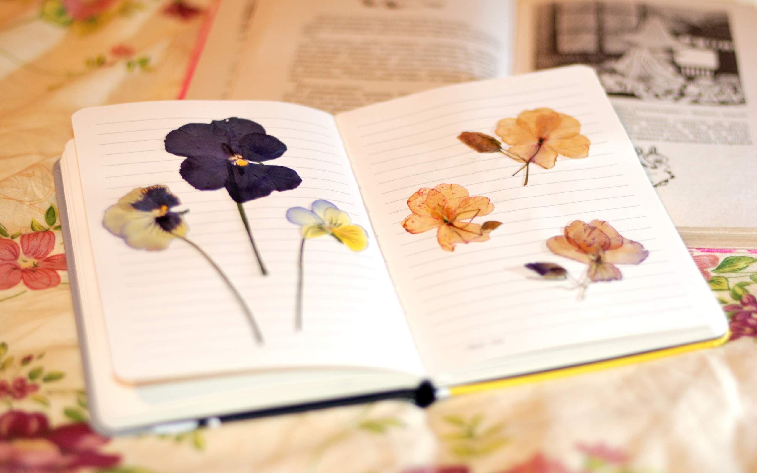 livro, флоры