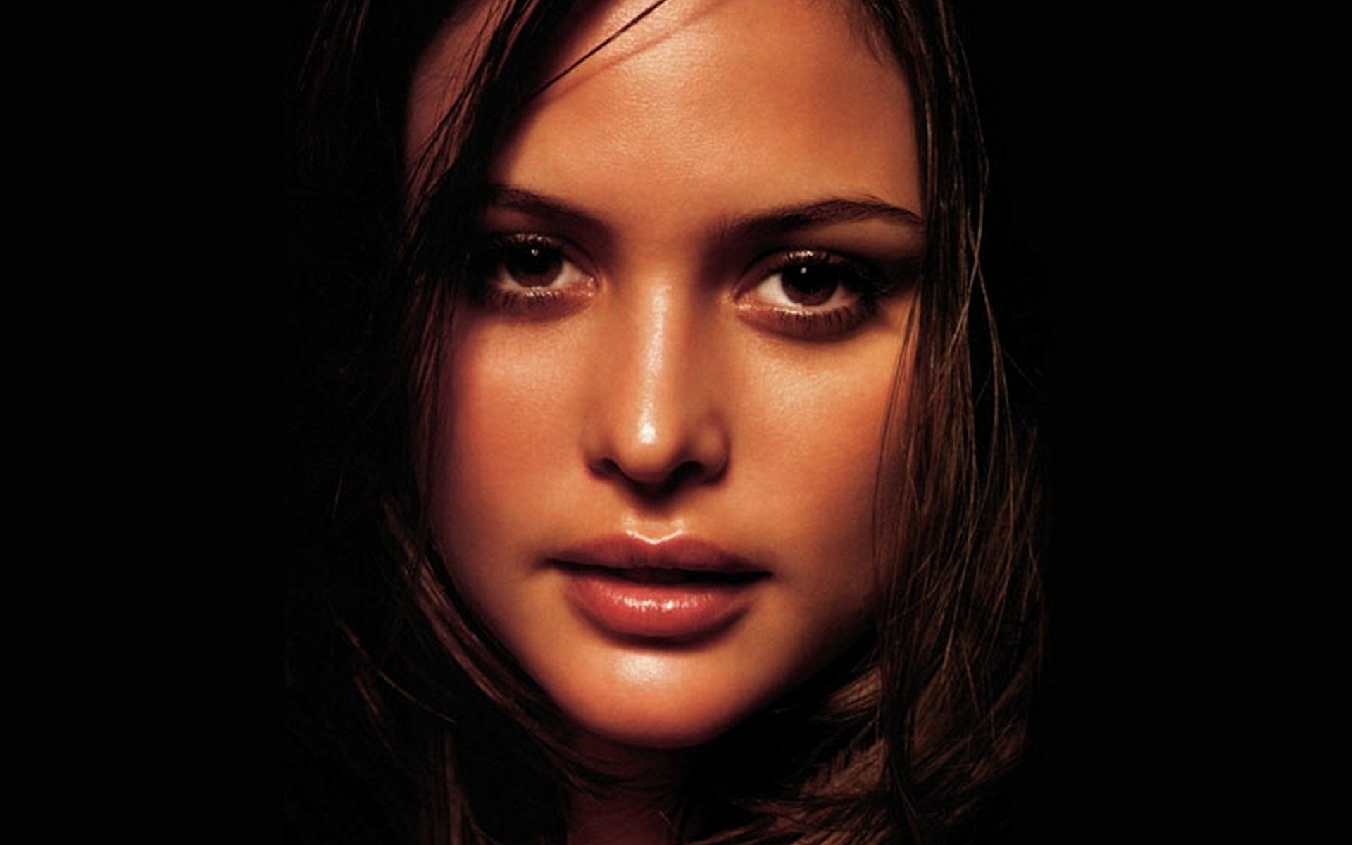 машень, карандаш, джози