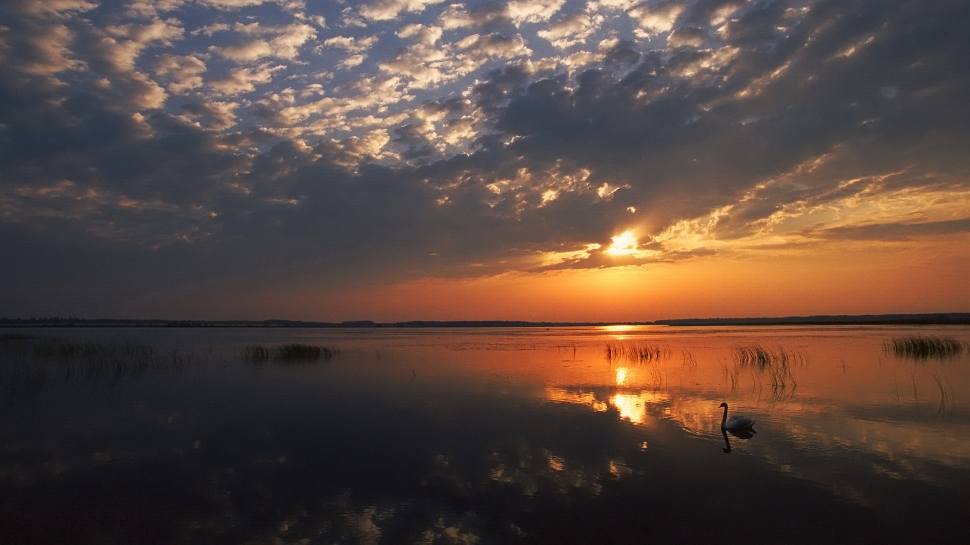 поландия, пейзаж, марионетка