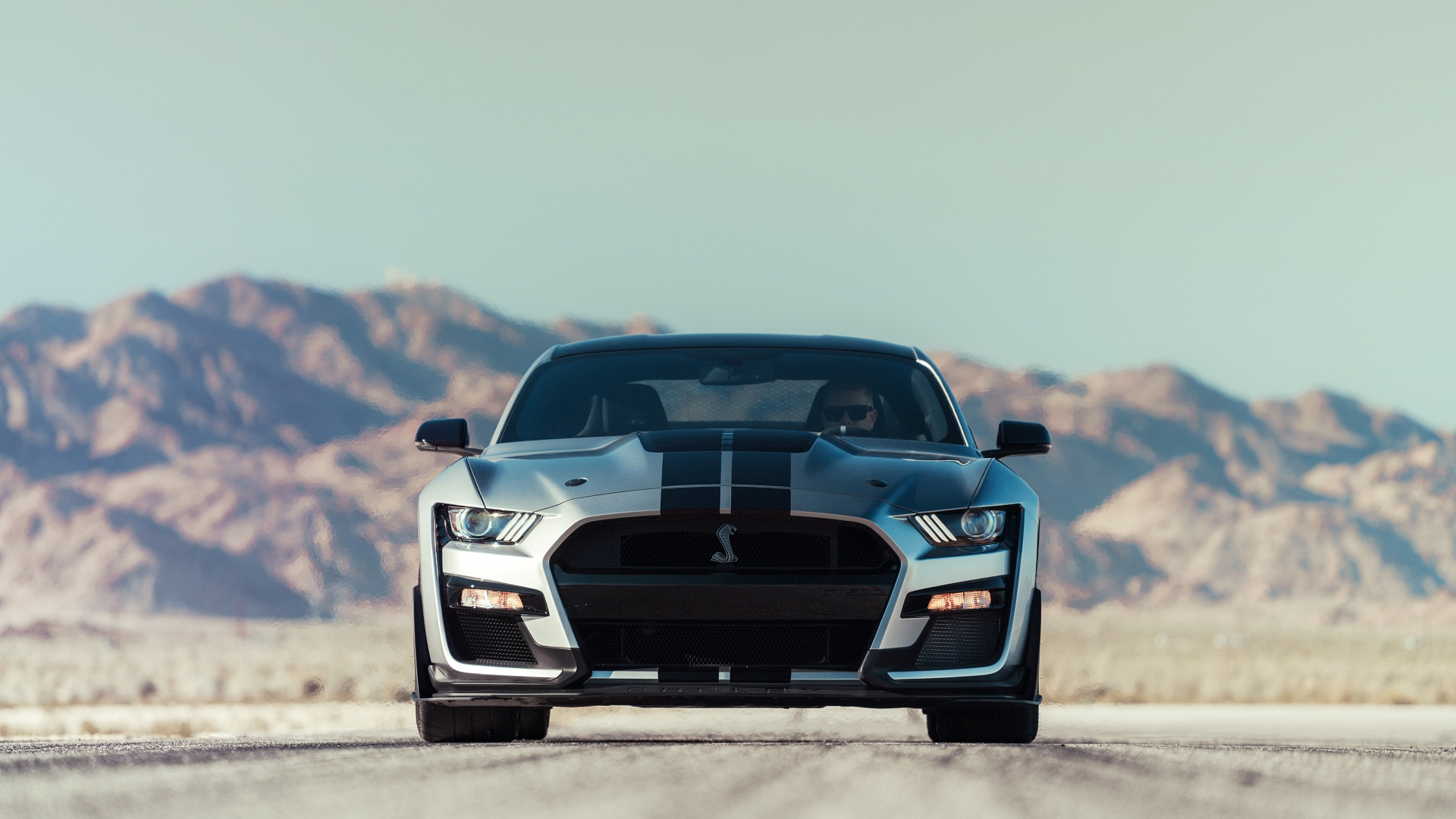 mustang, shelby, ford
