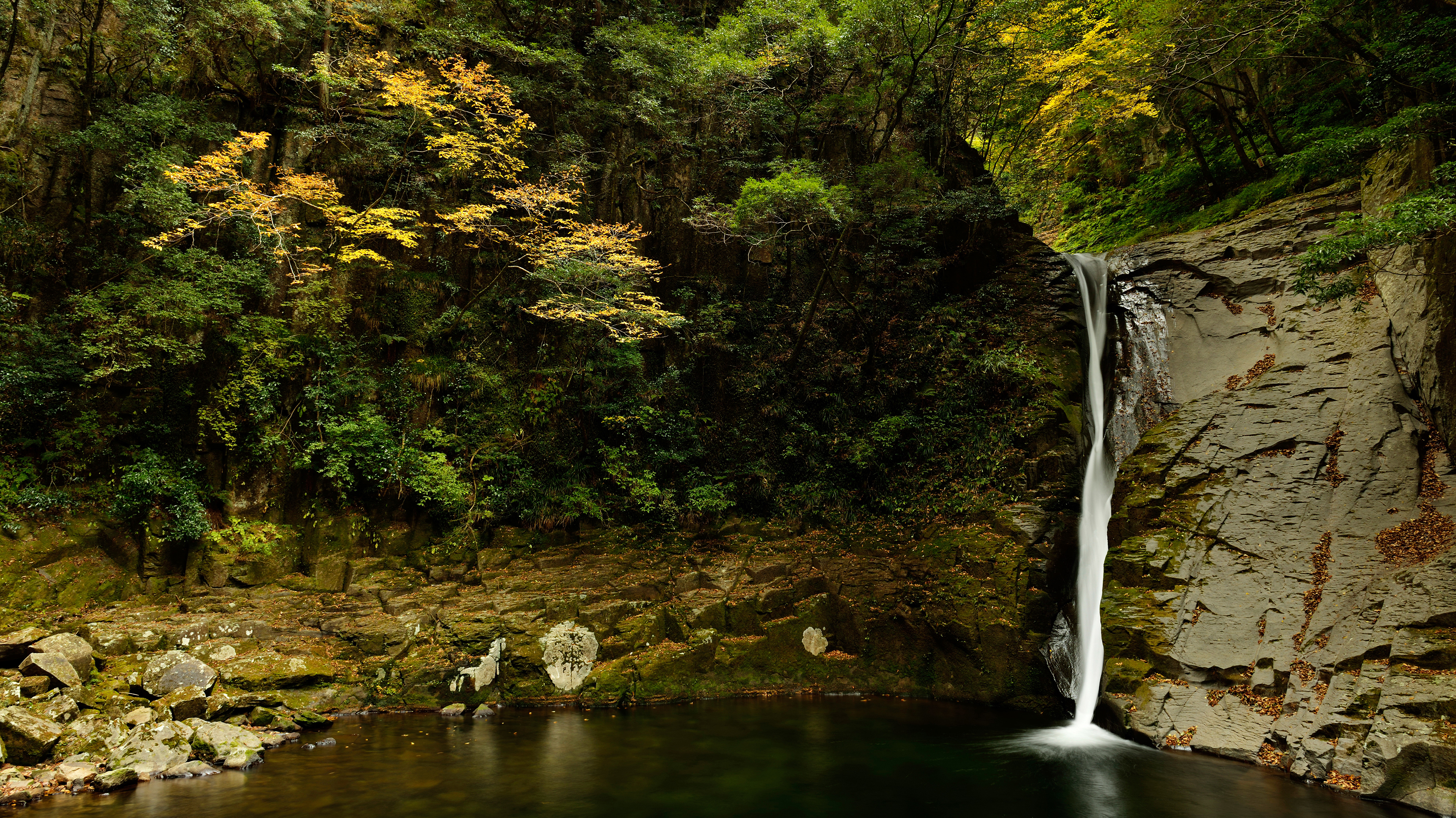 высокие, высокие