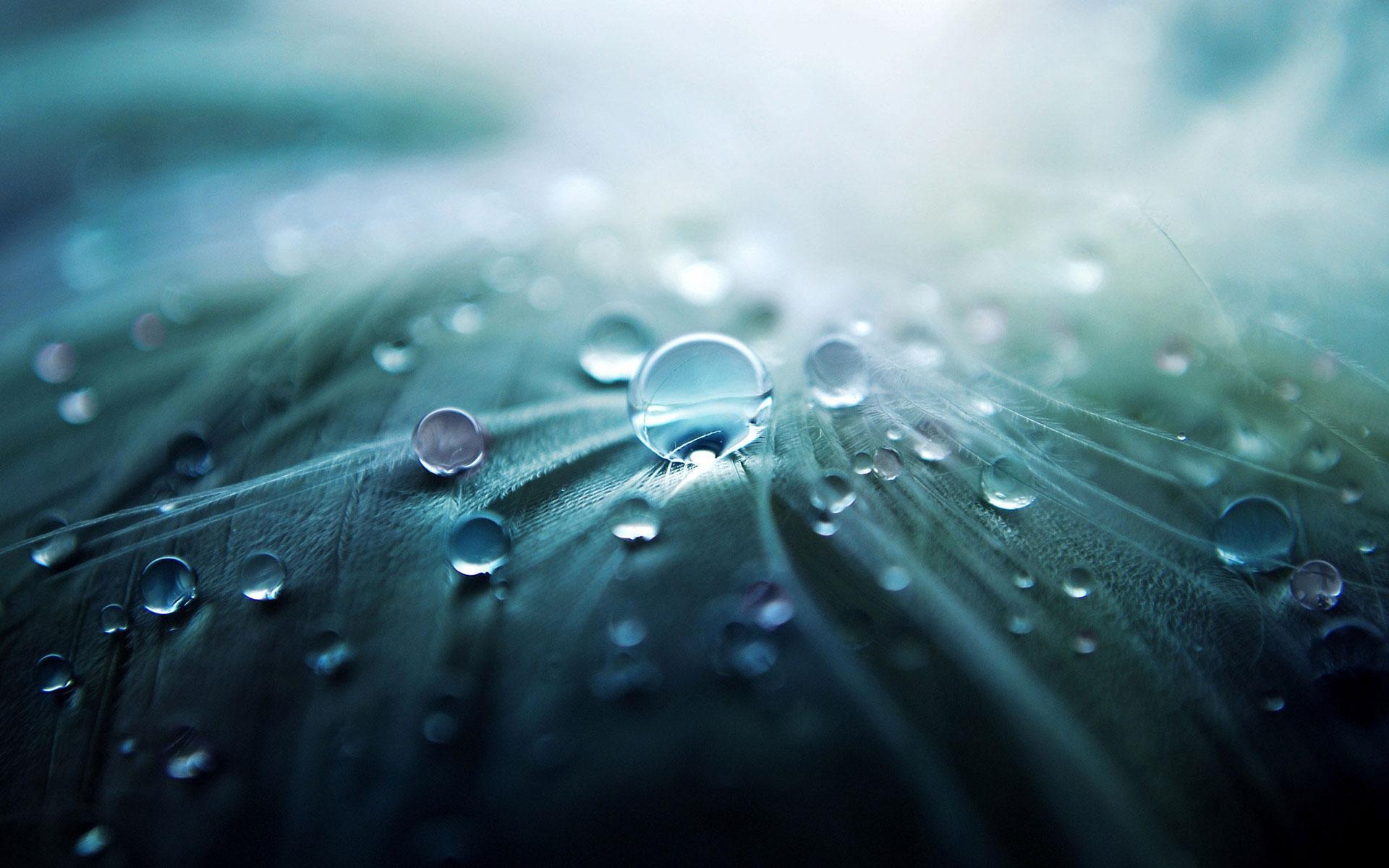 great, фото, cool
