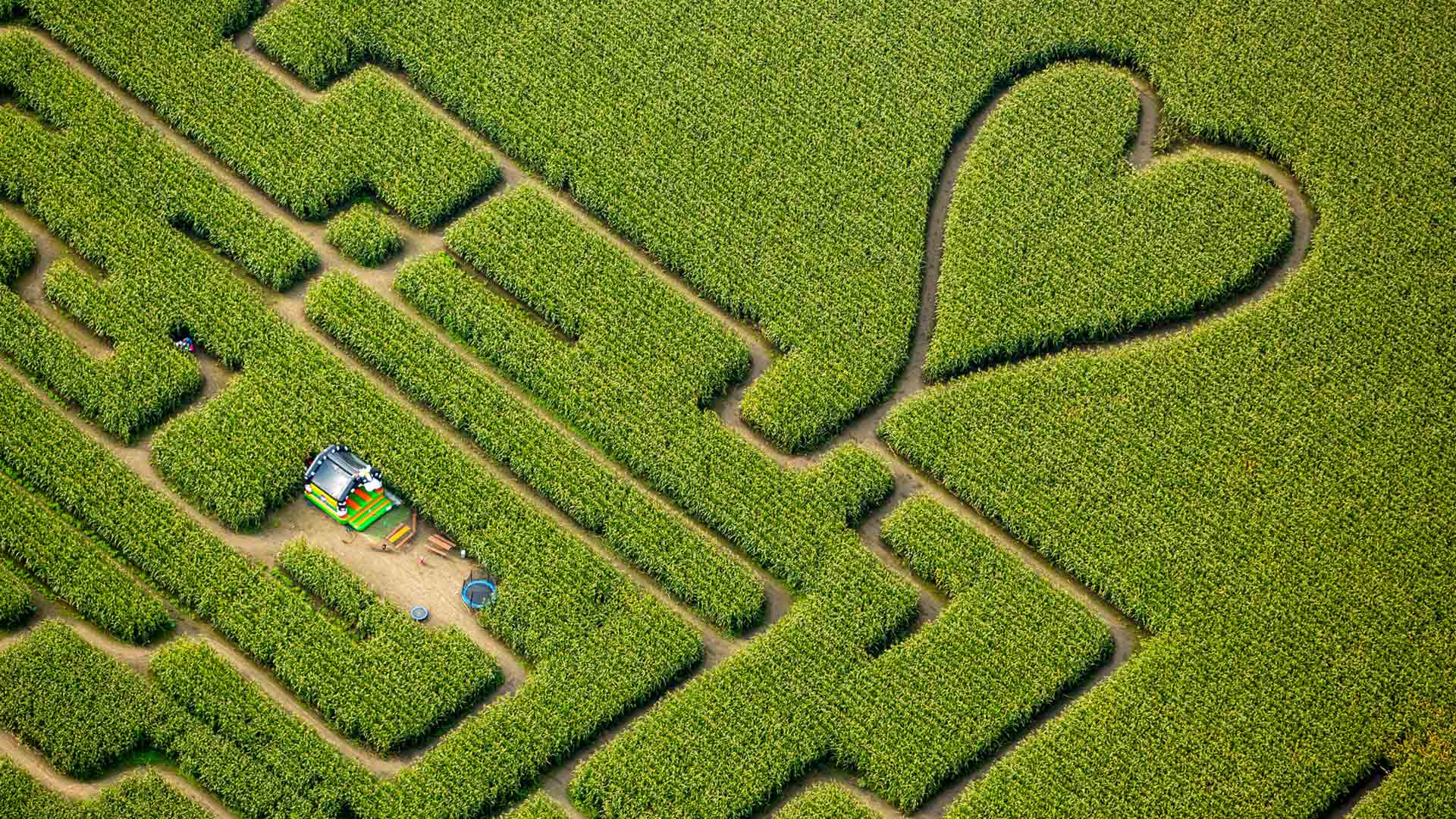фото, сердце