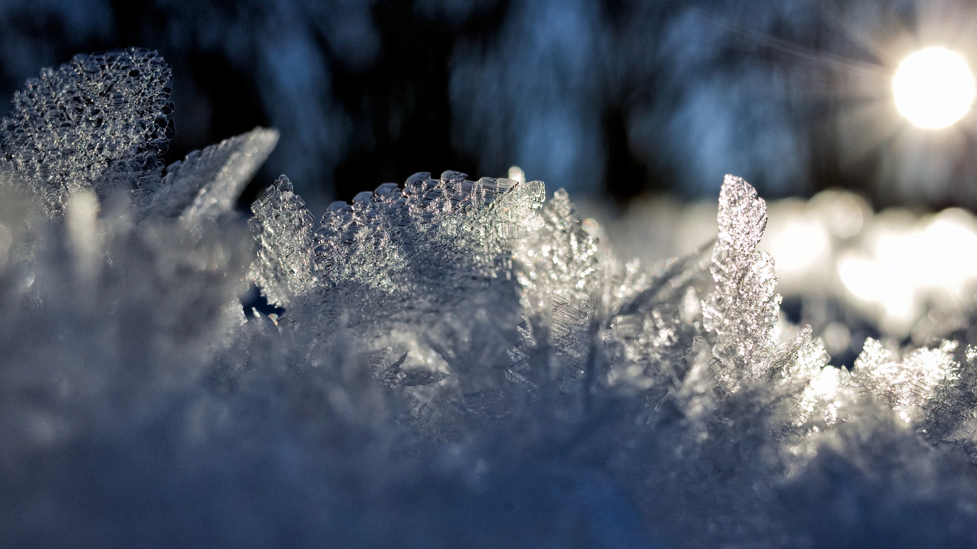 winter, фон, компьютер