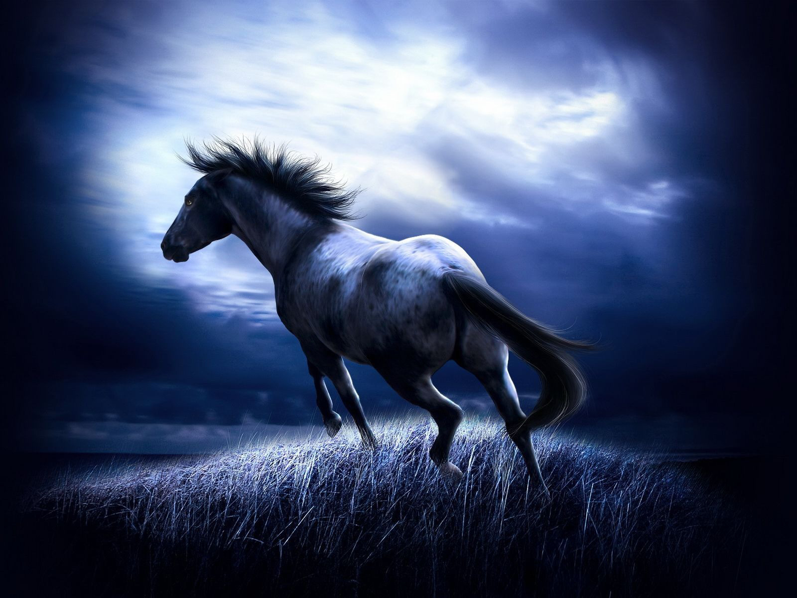 tags 1600x1200
