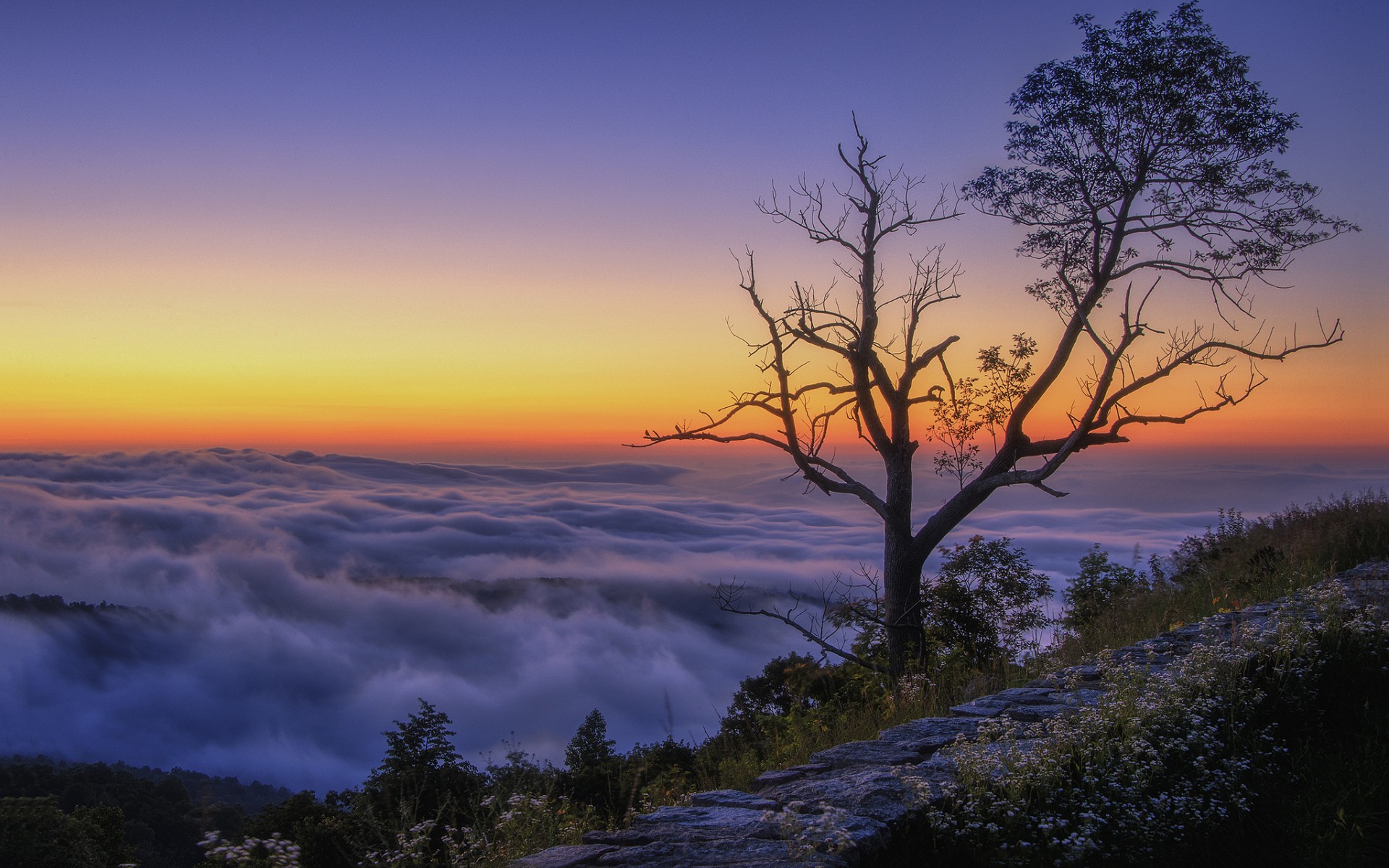 алло, облака