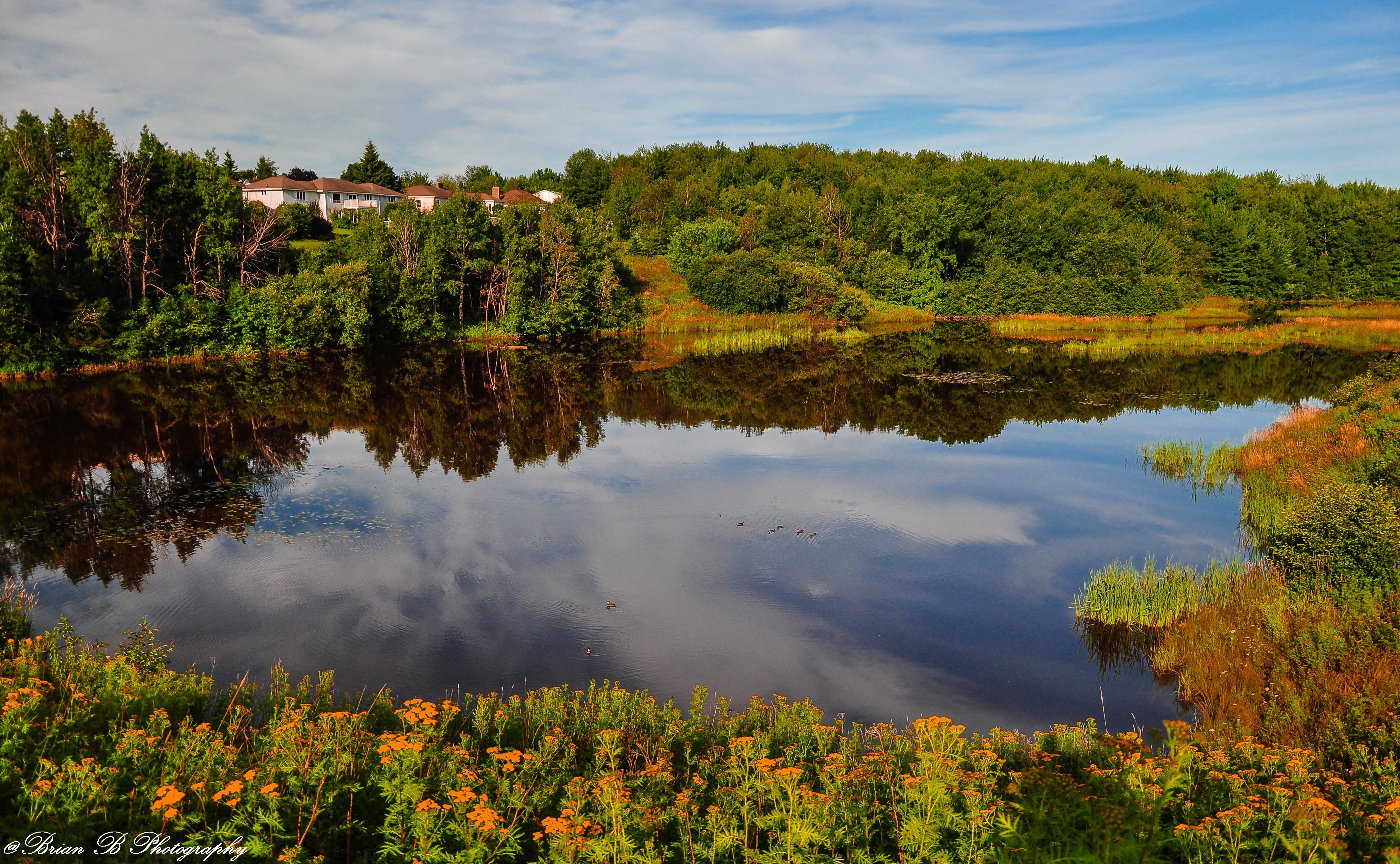 каннад, эм, монктон