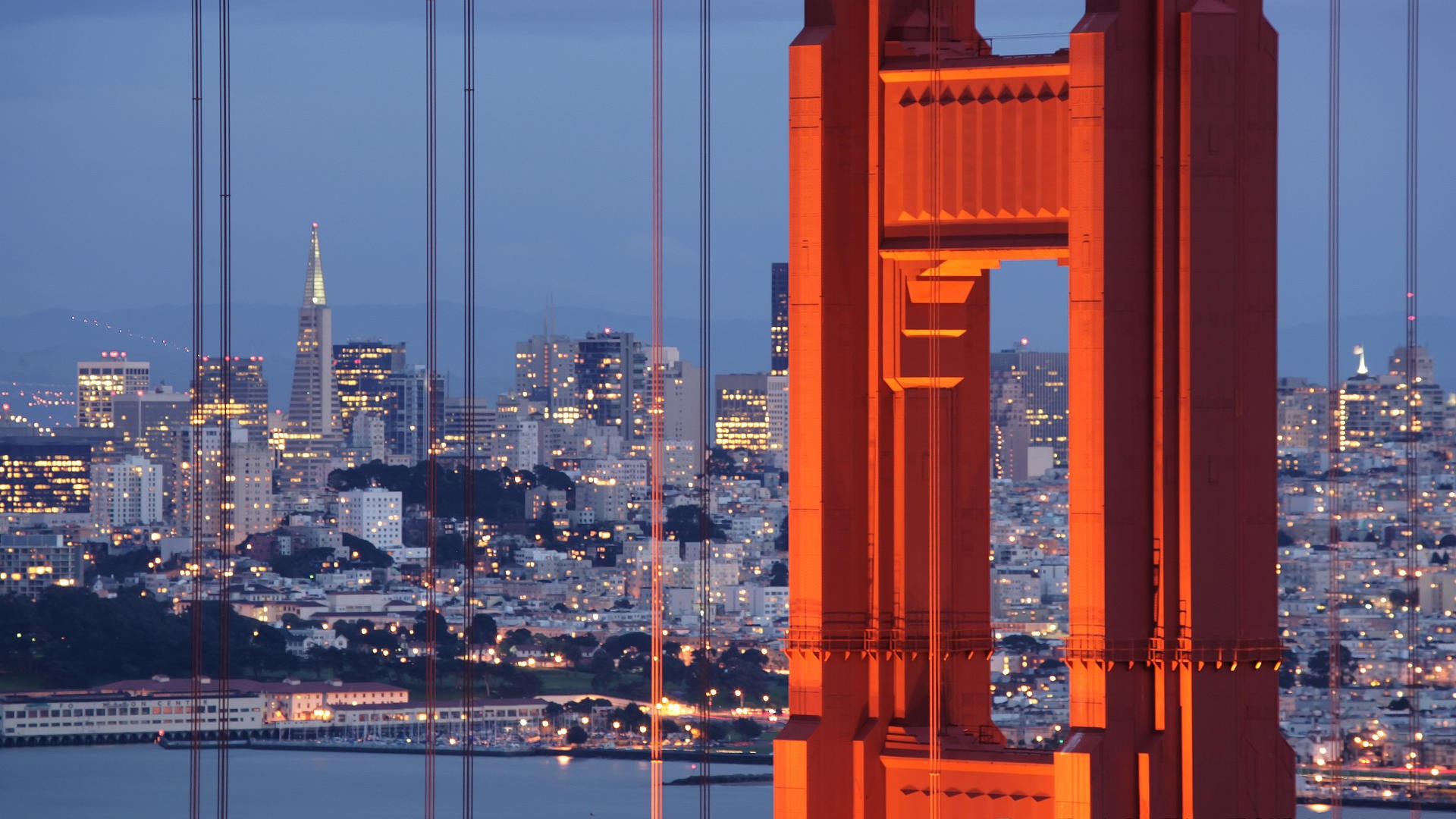 san, francisco, золотистый