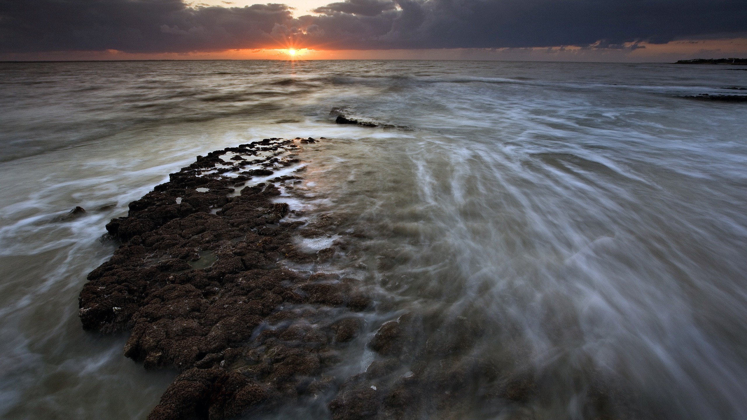 блог, леон, картинка