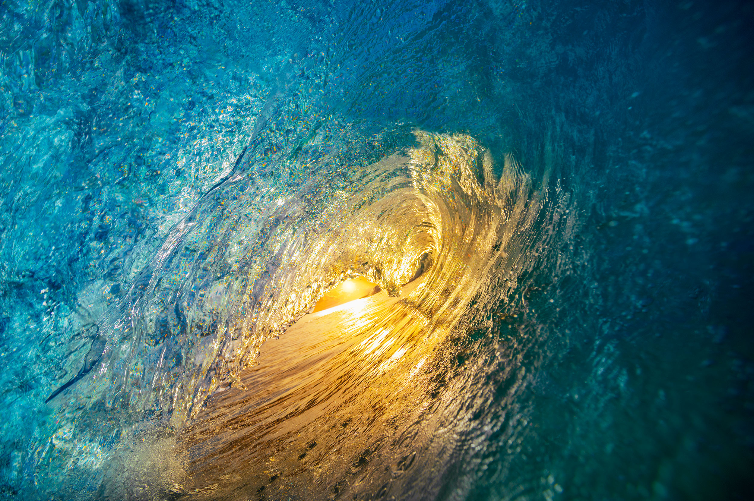 воля, океан, Питер