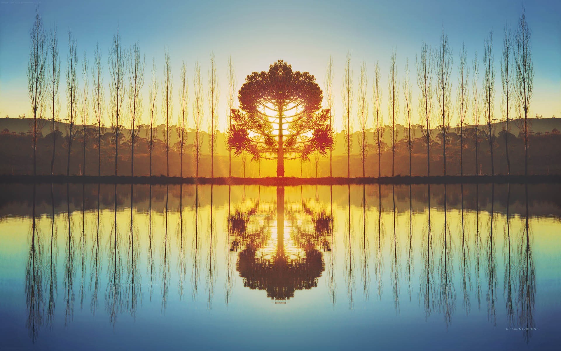 pantalla, naturaleza