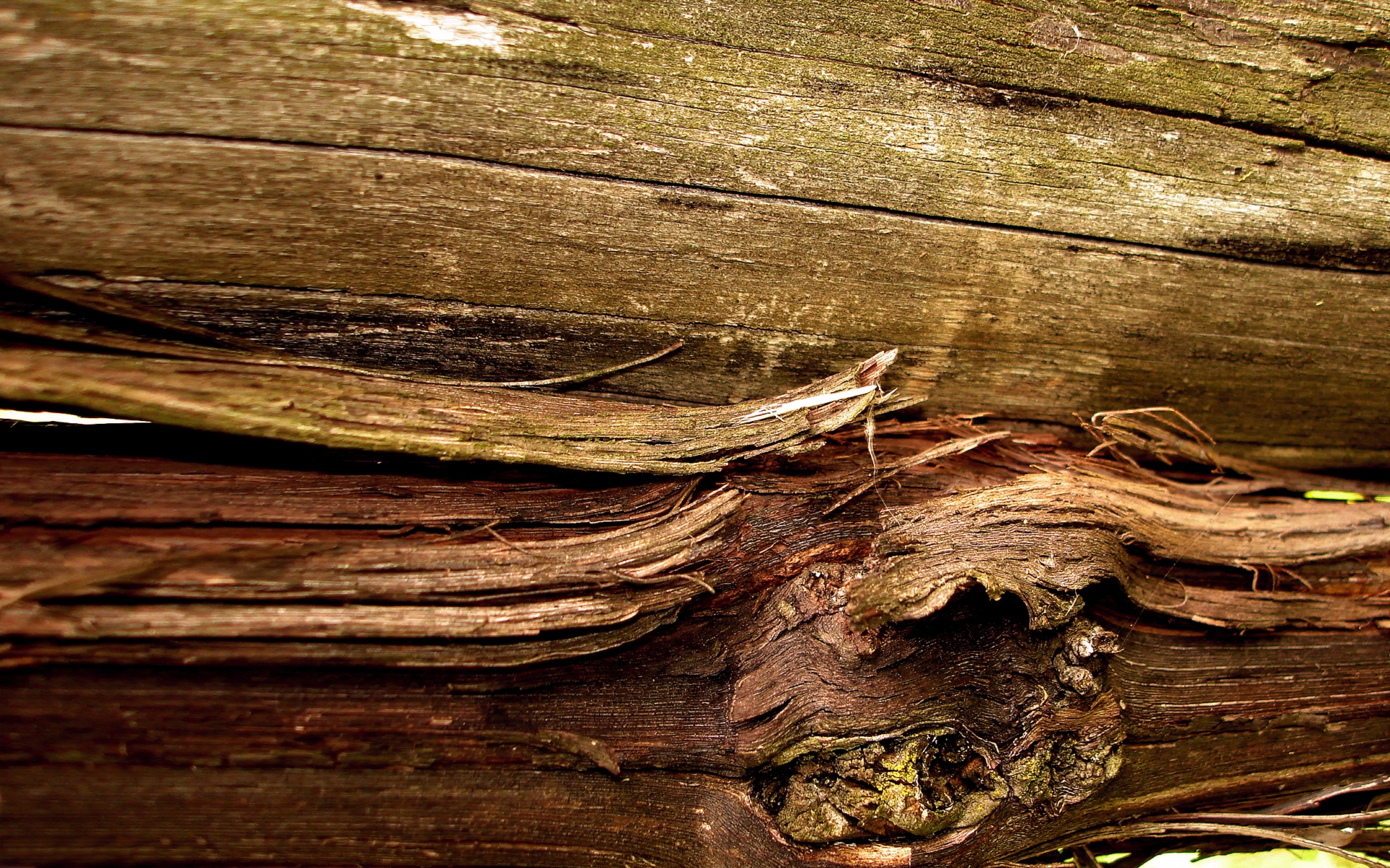 wood, текстура, материал