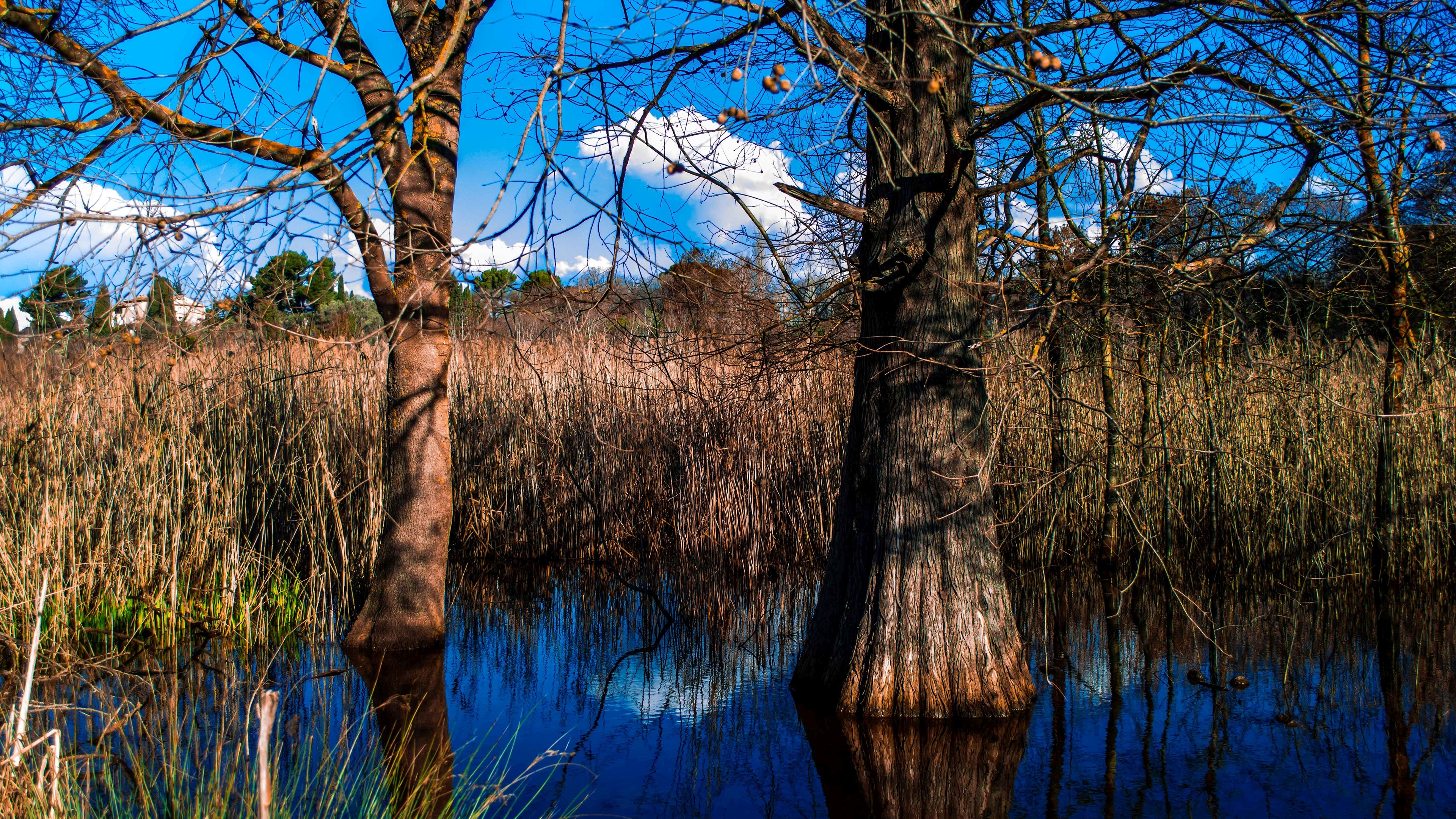 граф, соединение