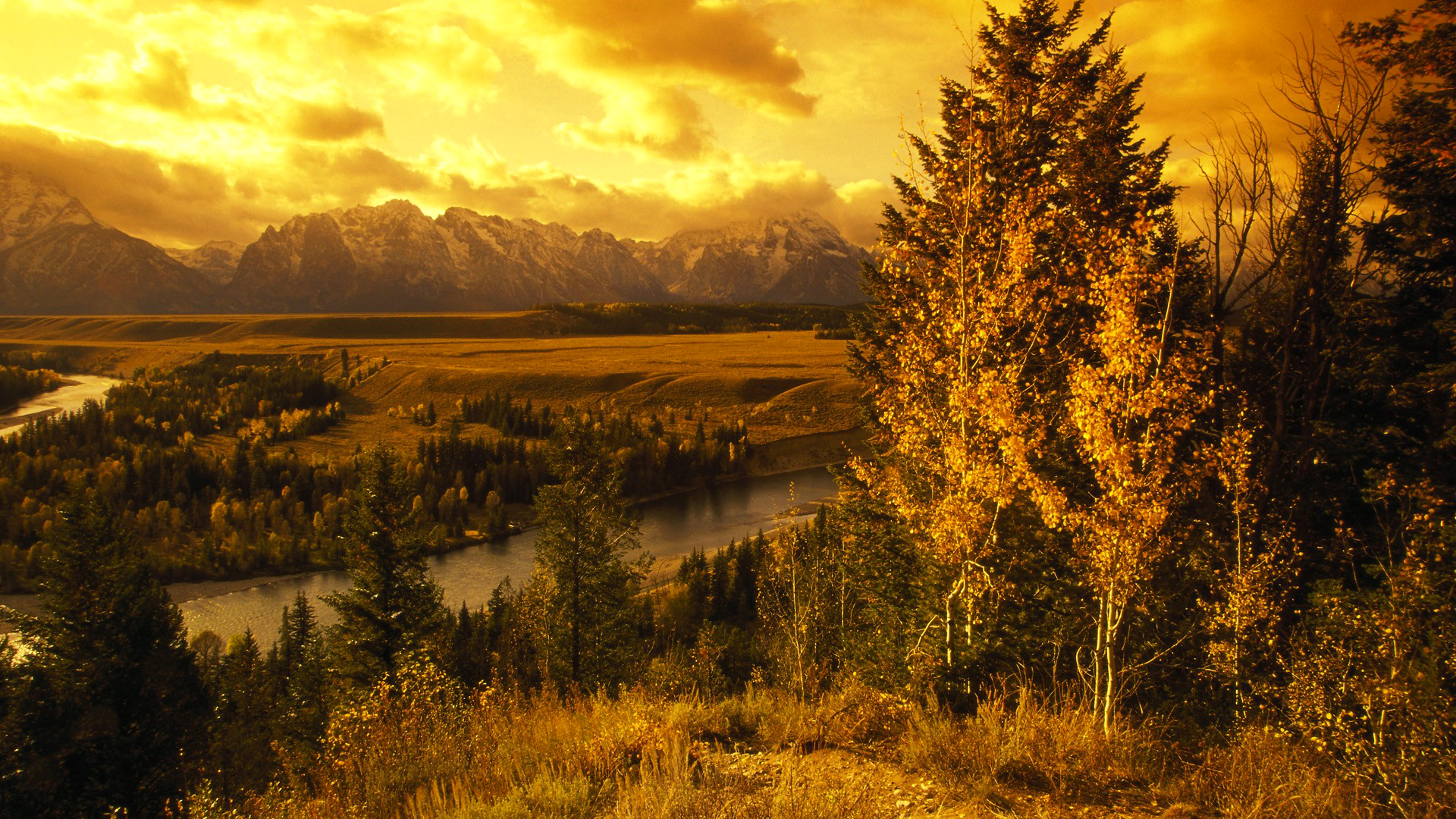 Золотой пейзаж. Осень вечер горы. Лес и горы осень вечер. Золотистый пейзаж. Осенний вечер в горах.