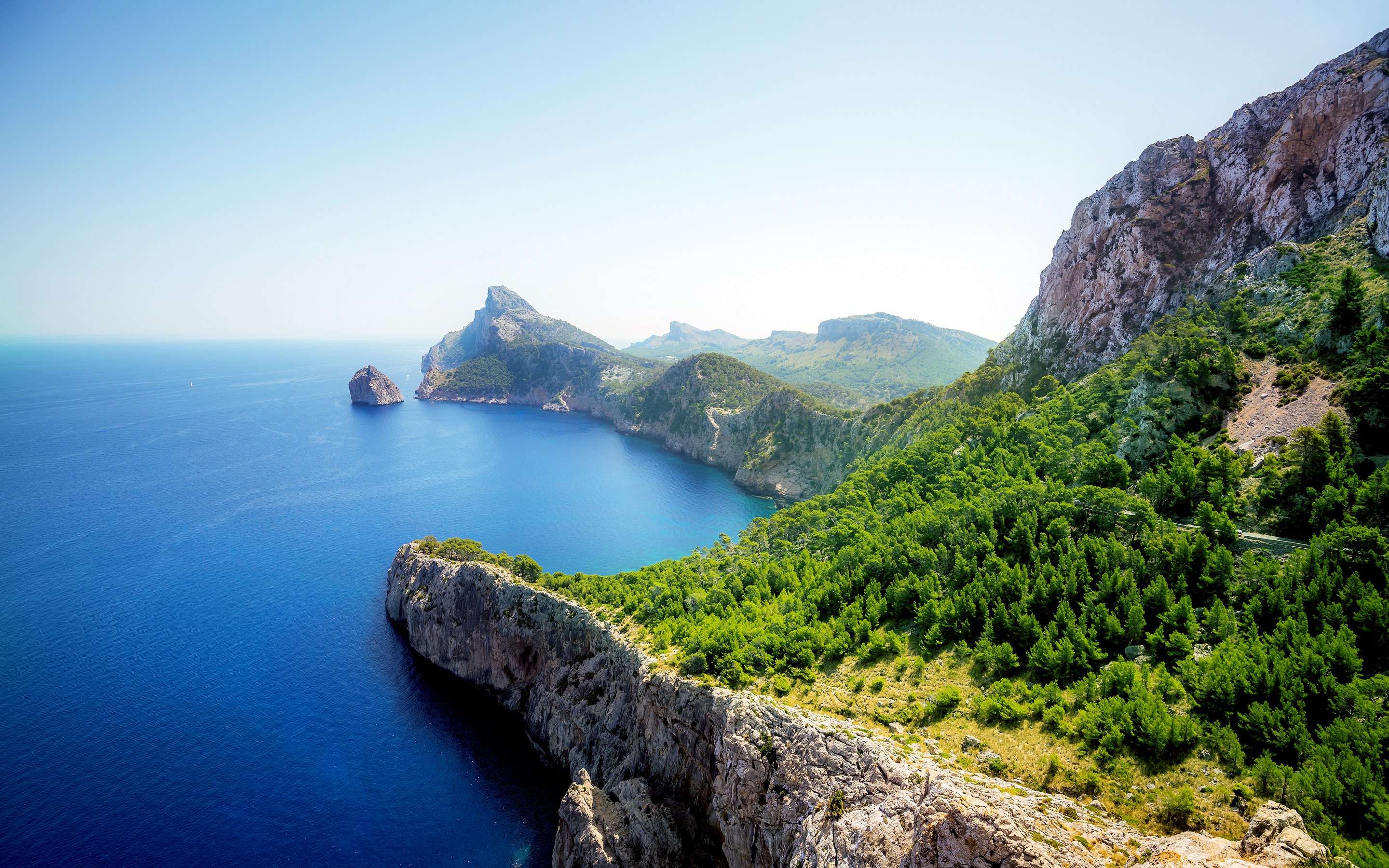 природа, море, лес