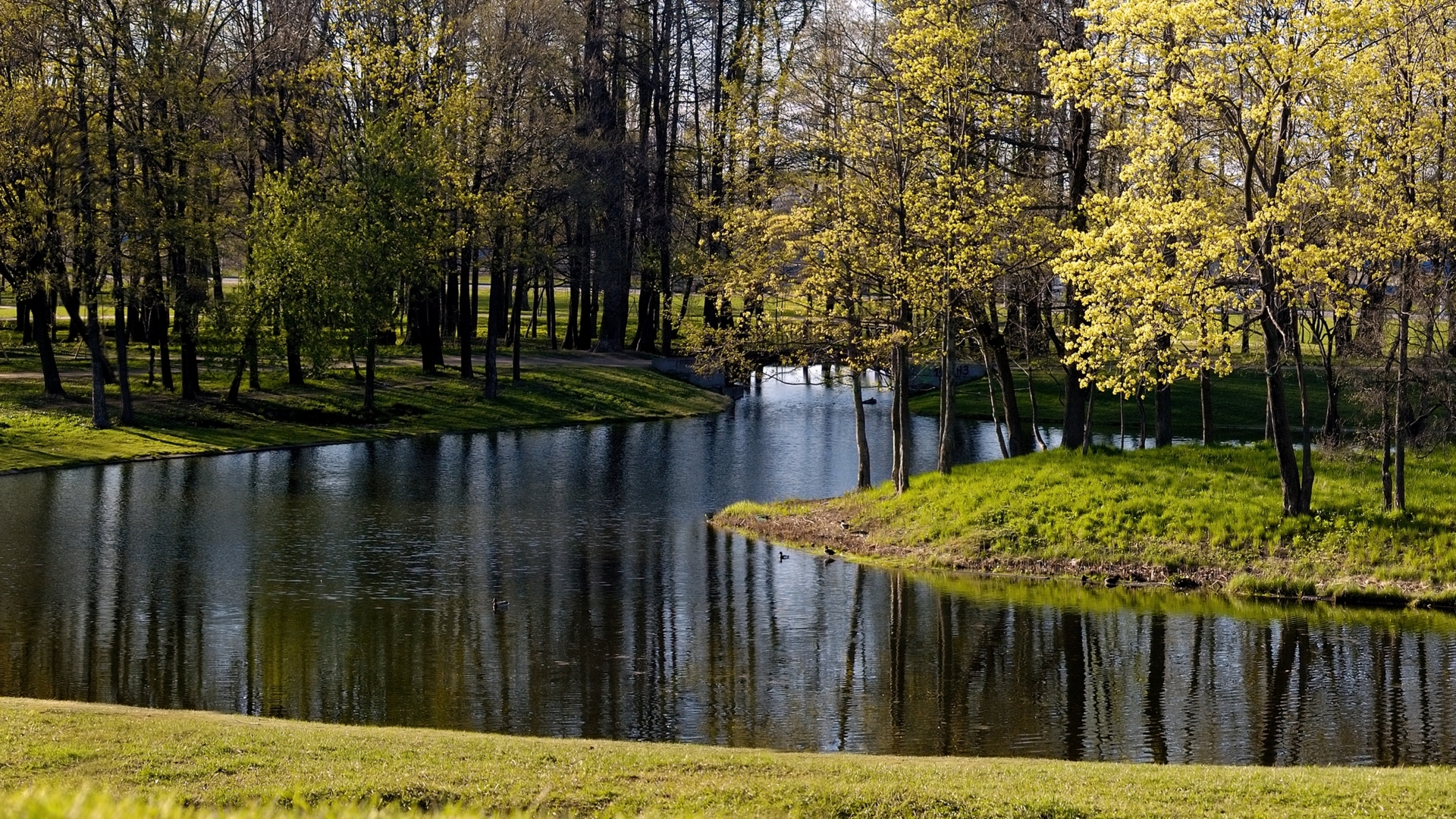 красивые, природа