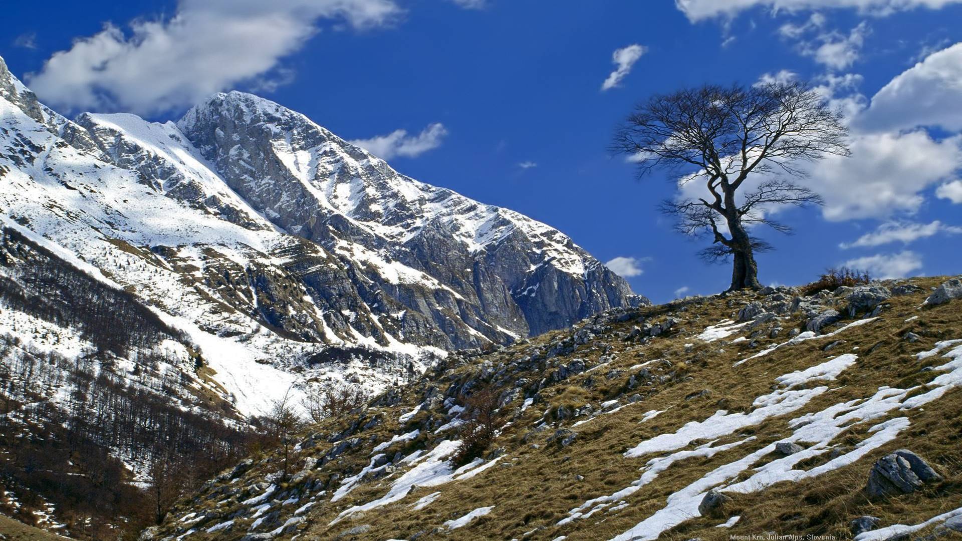 гора, фото, альпы