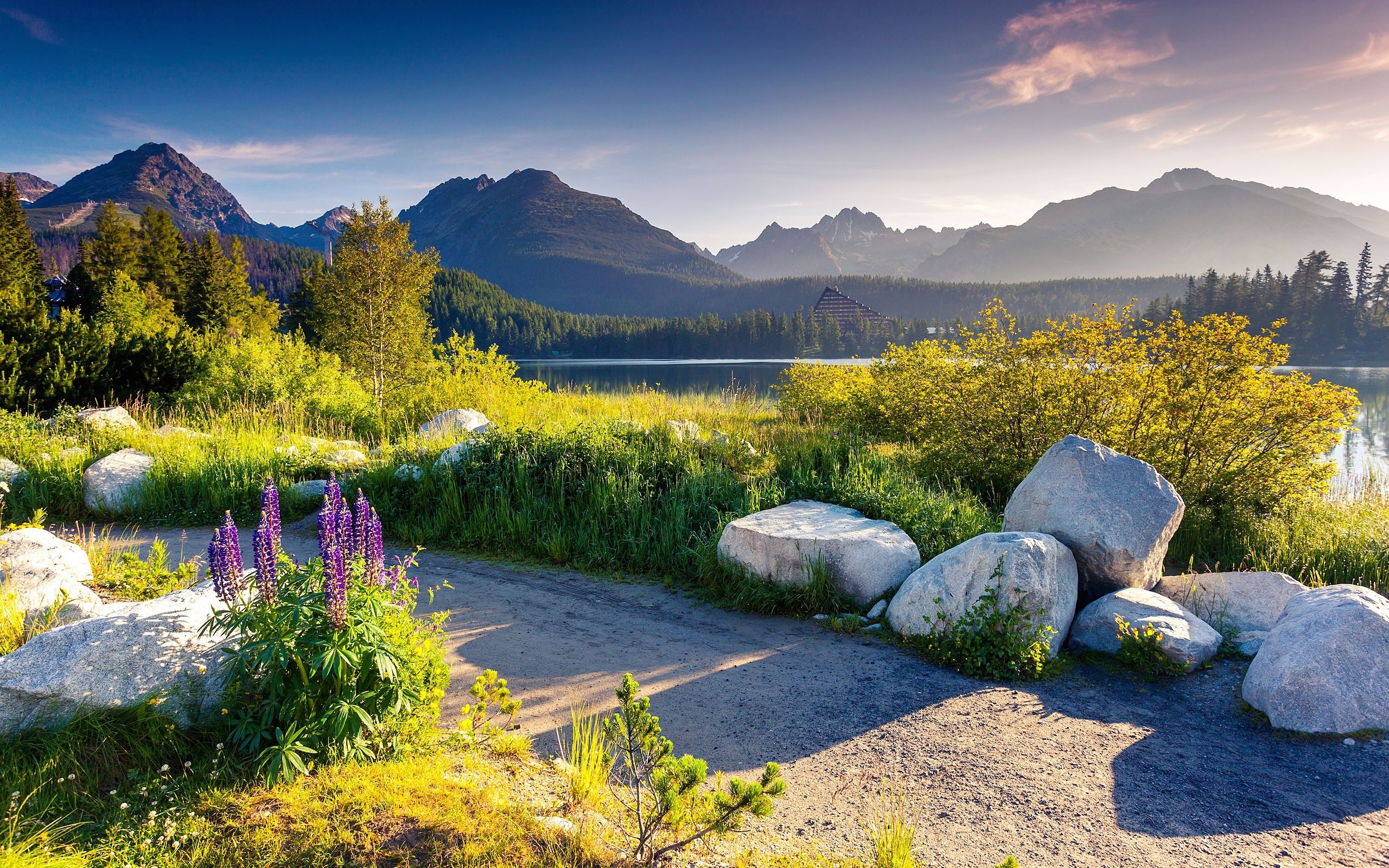 словакия, подушка, лето